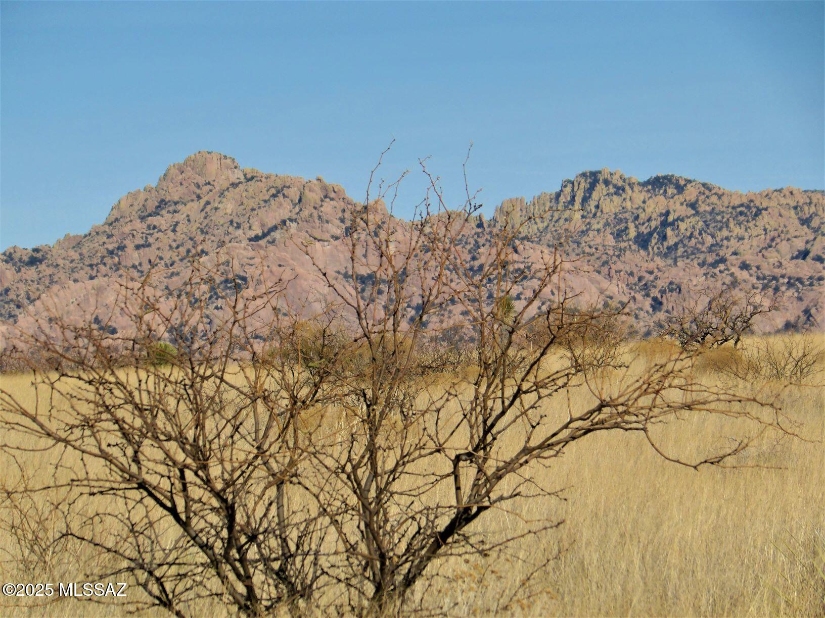 Dragoon Mountain Ranch - Land