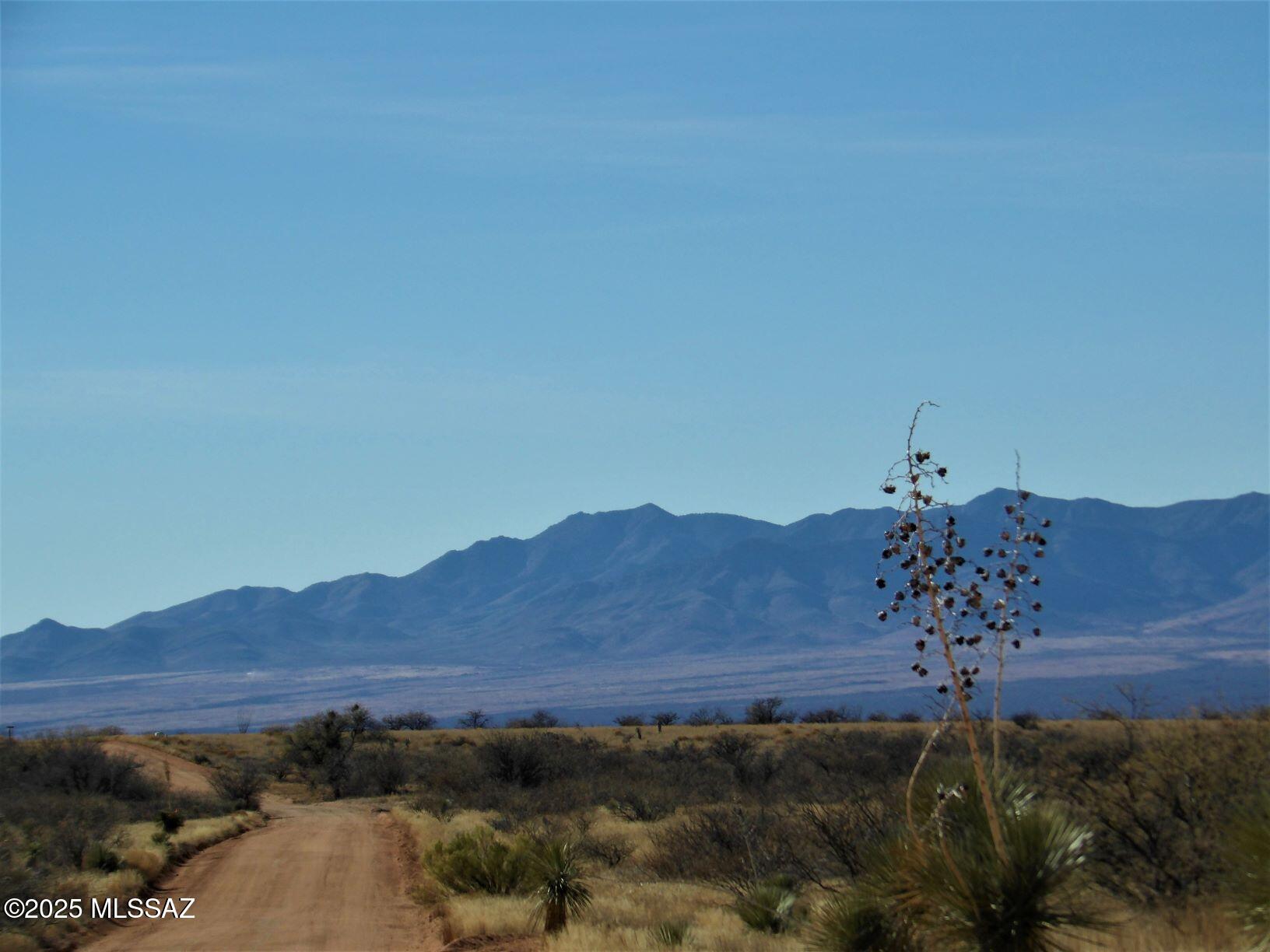 Dragoon Mountain Ranch - Land
