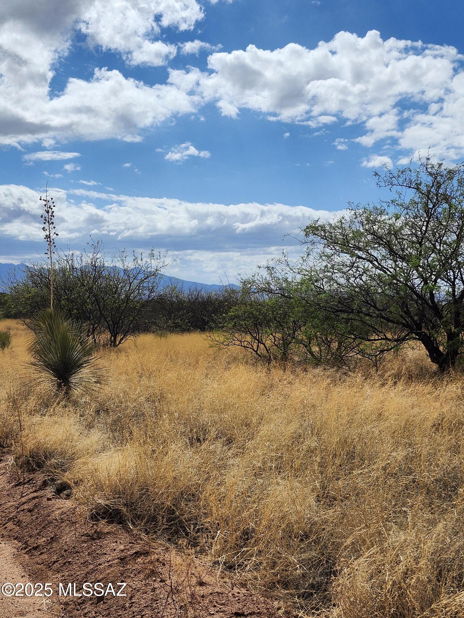 Dragoon Mountain Ranch - Land