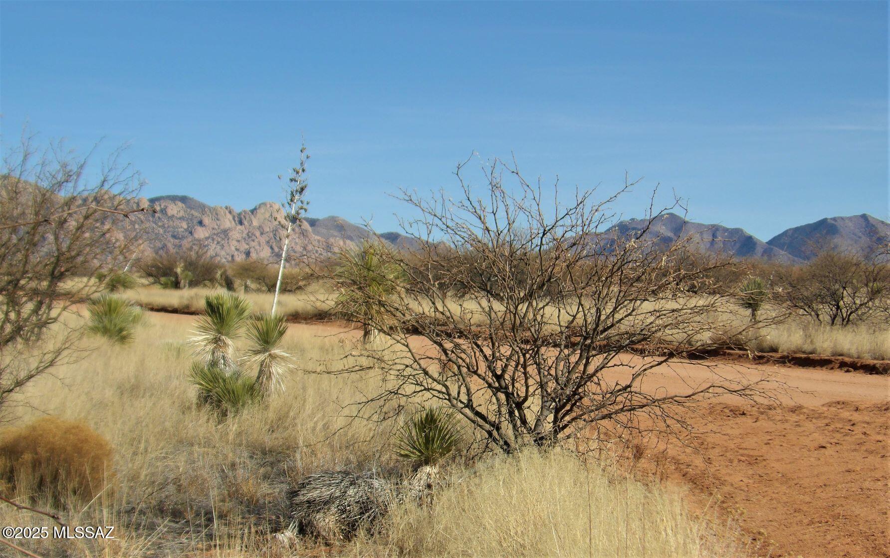 Dragoon Mountain Ranch - Land