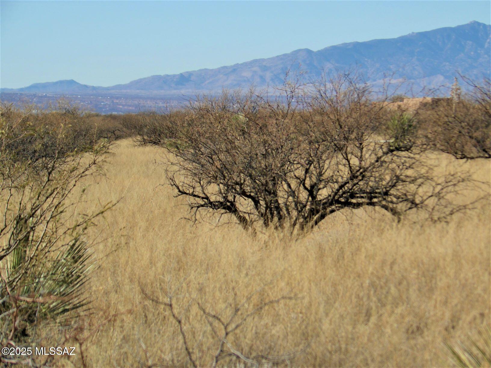 Dragoon Mountain Ranch - Land