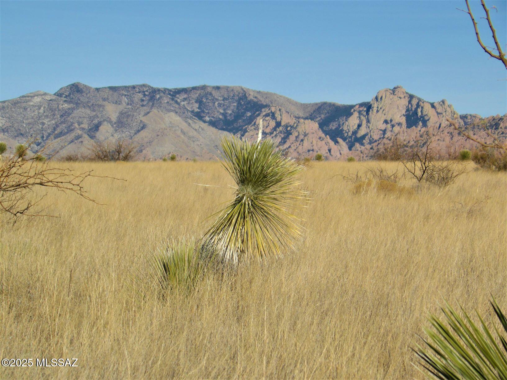 Dragoon Mountain Ranch - Land
