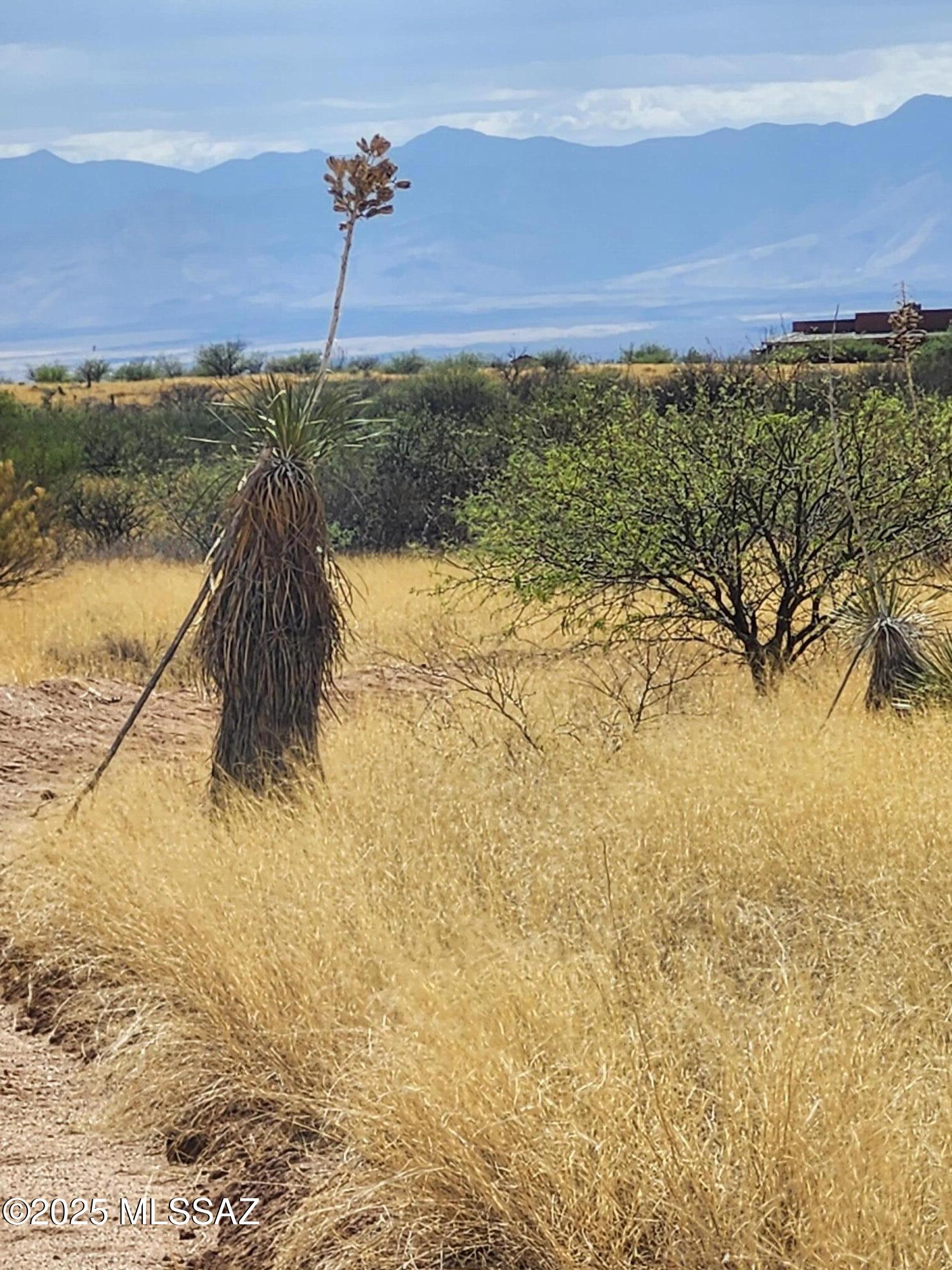 Dragoon Mountain Ranch - Land