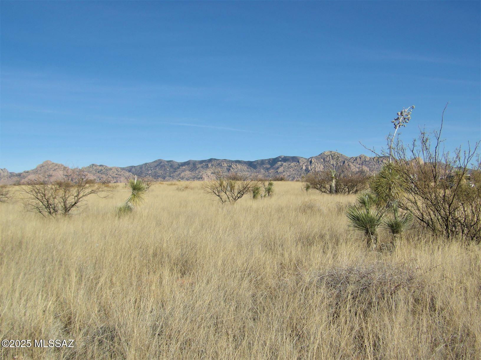 Dragoon Mountain Ranch - Land