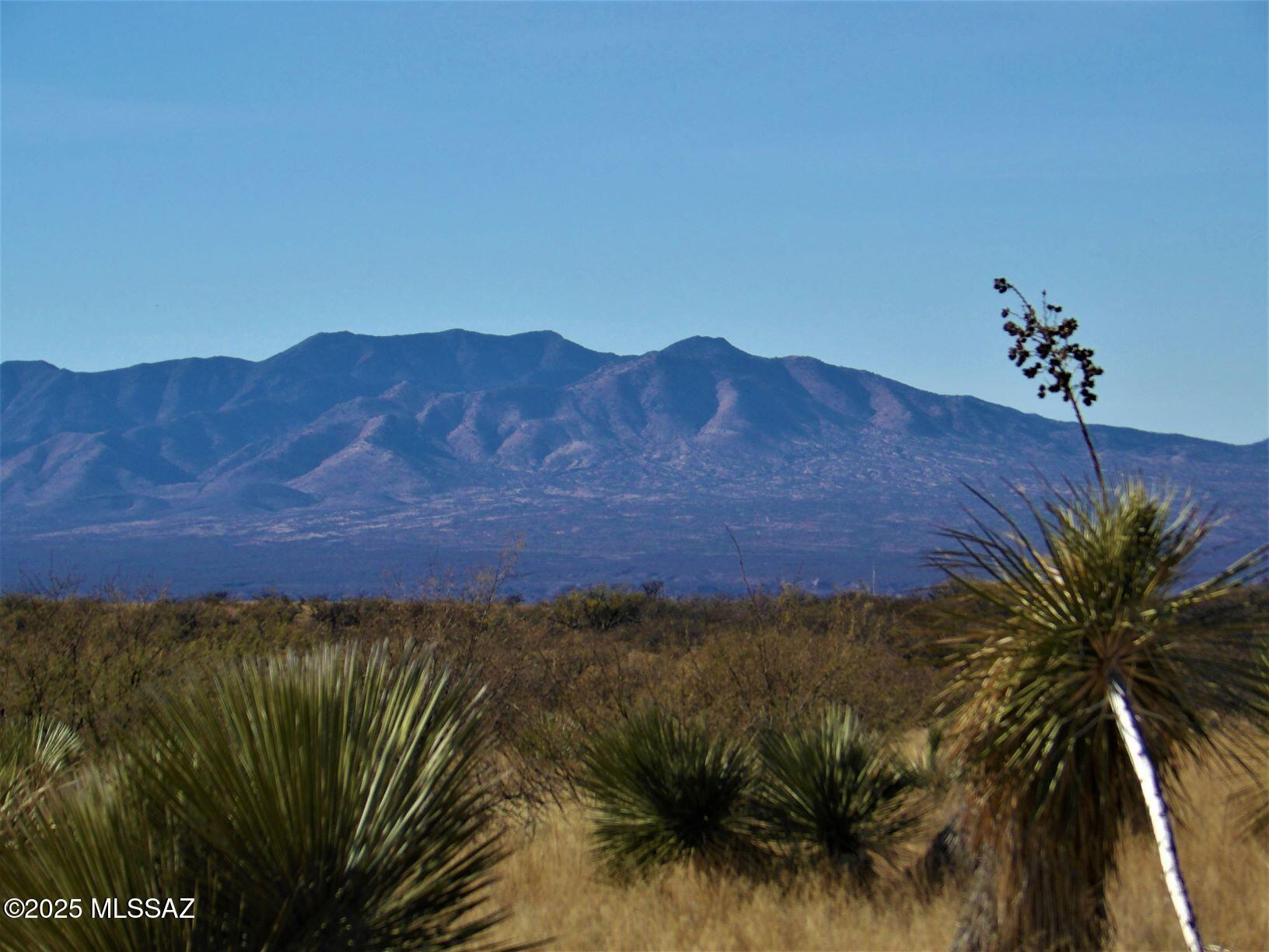Dragoon Mountain Ranch - Land