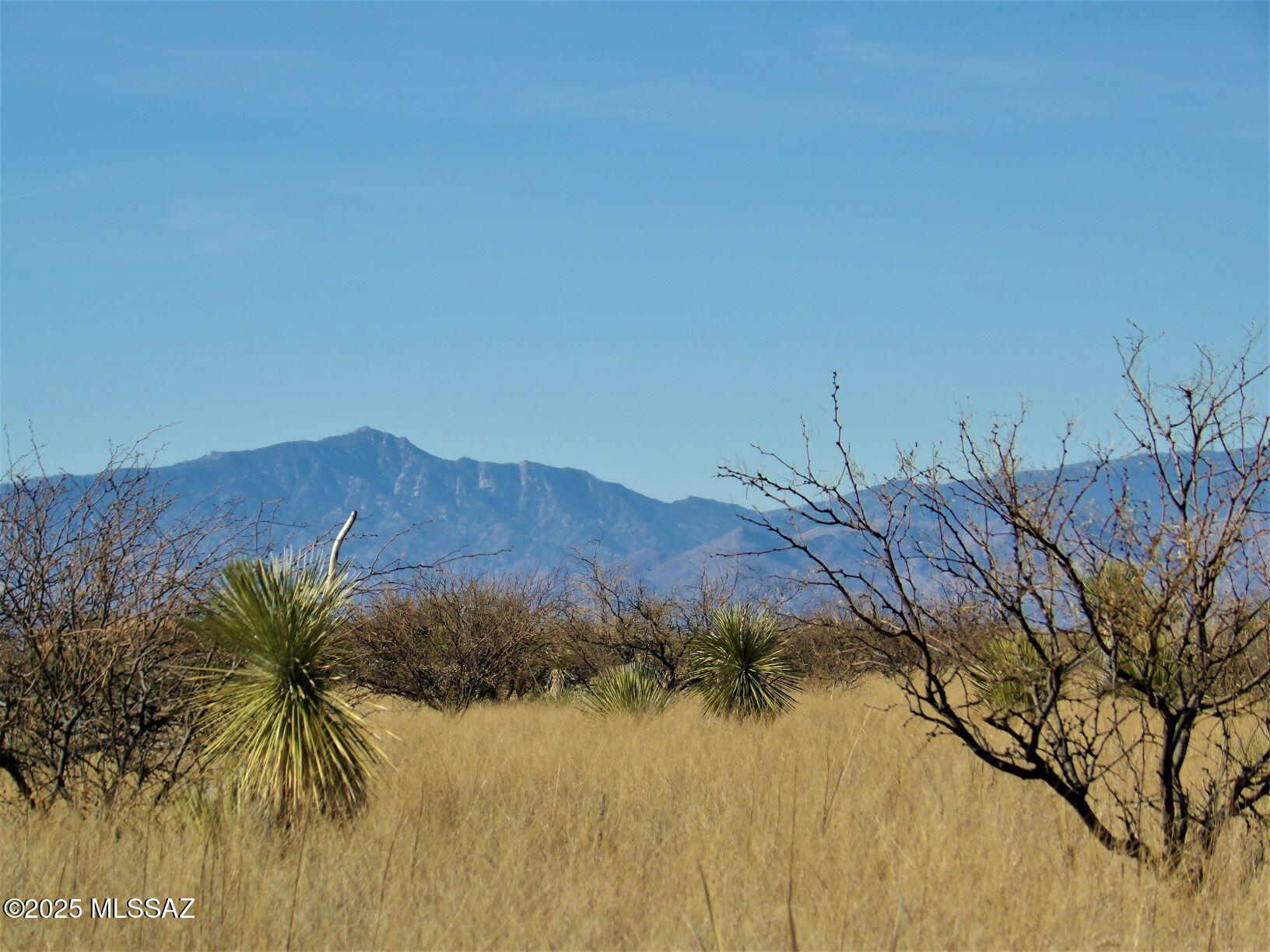 Dragoon Mountain Ranch - Land