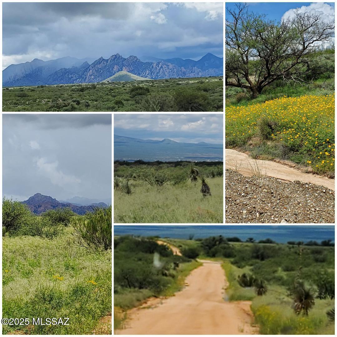 Dragoon Mountain Ranch - Land