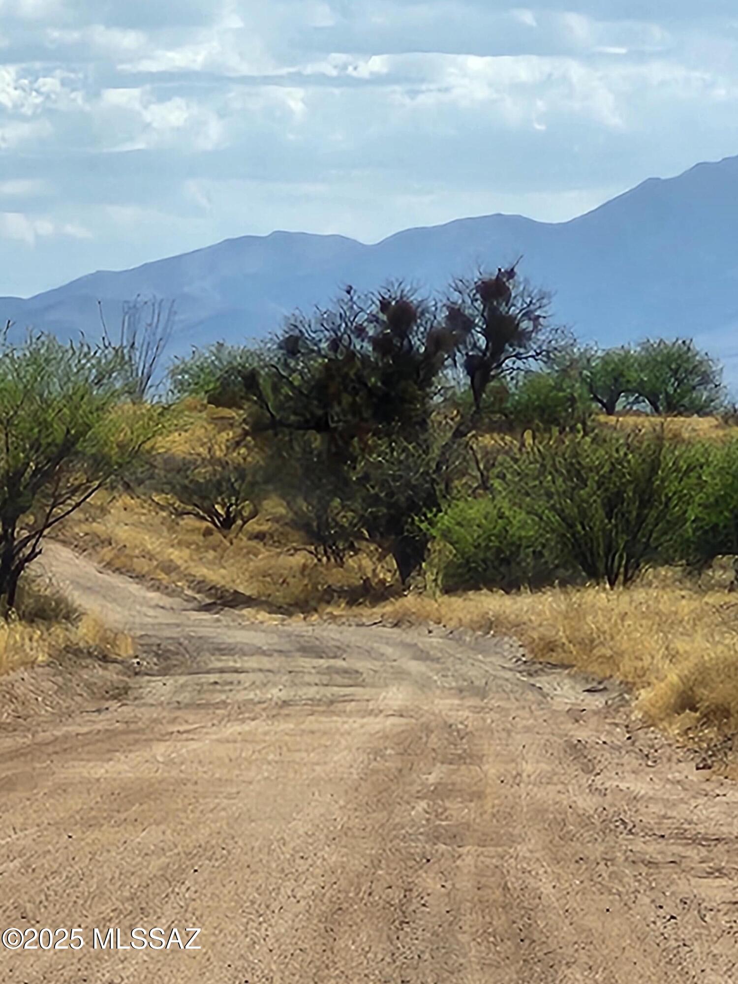 Dragoon Mountain Ranch - Land