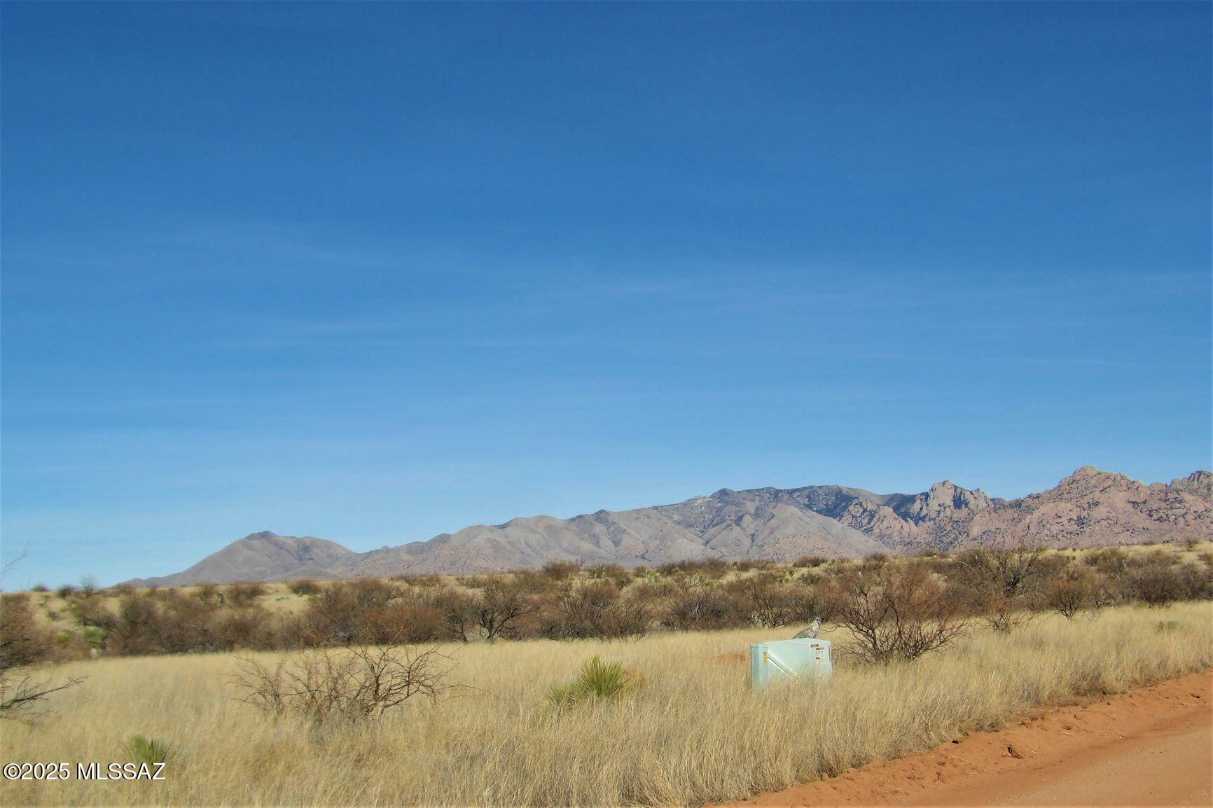 Dragoon Mountain Ranch - Land