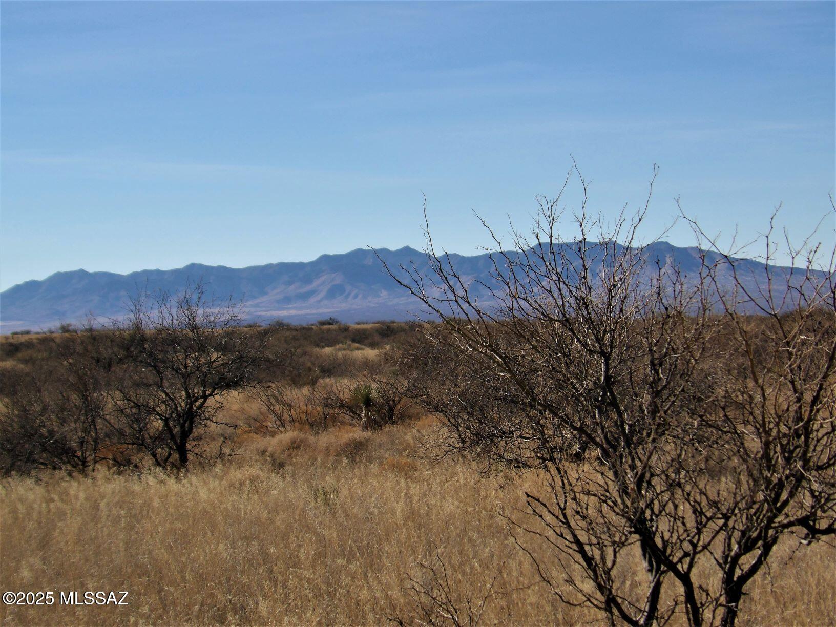 Dragoon Mountain Ranch - Land