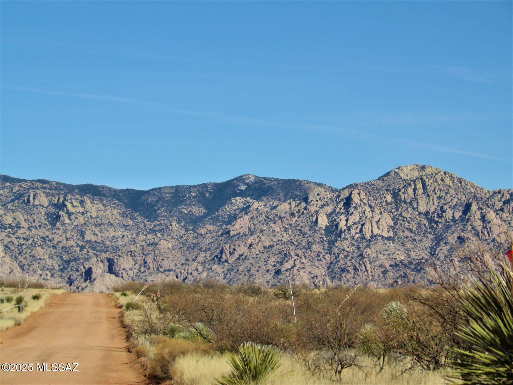 Dragoon Mountain Ranch - Land