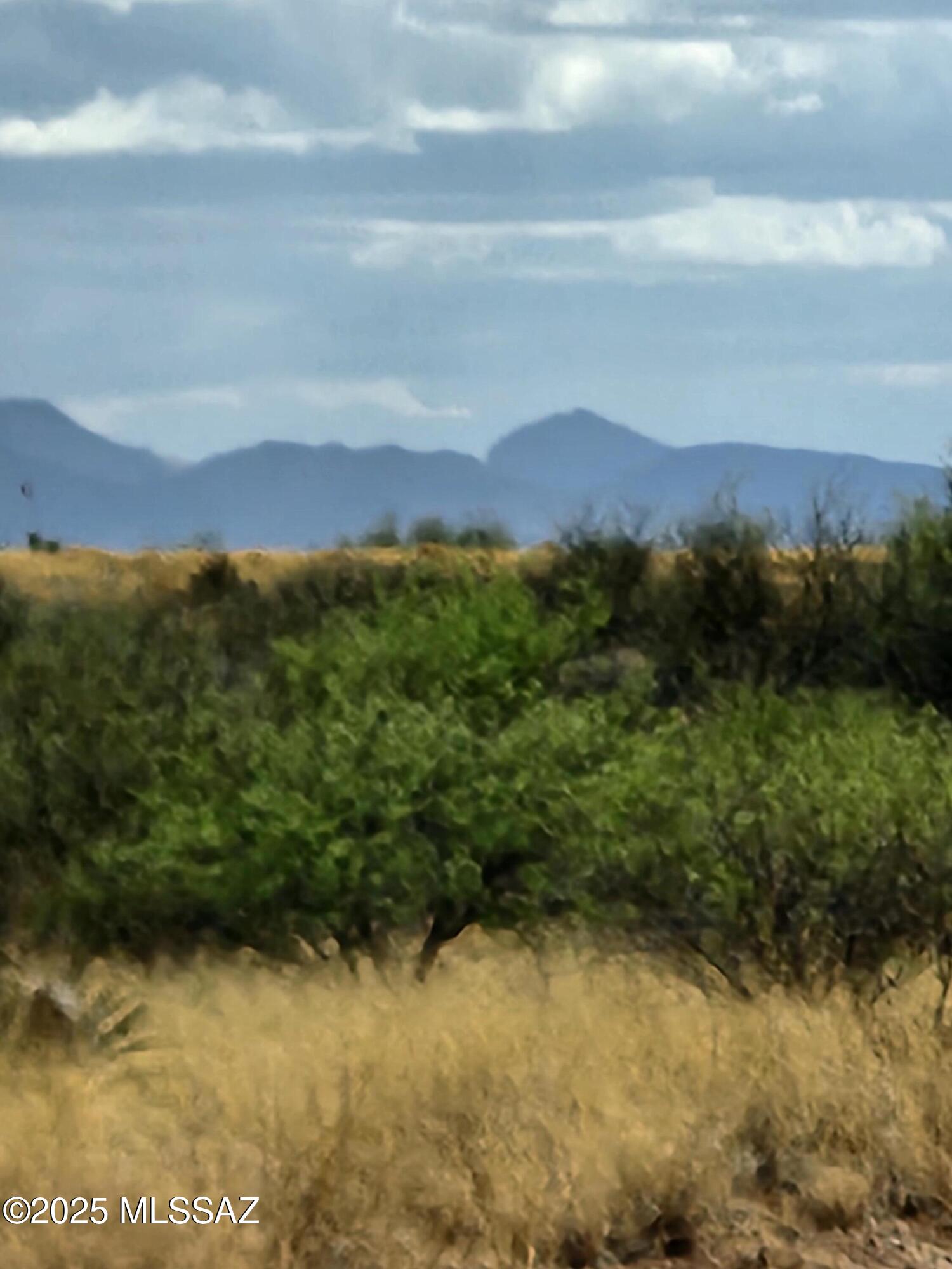 Dragoon Mountain Ranch - Land