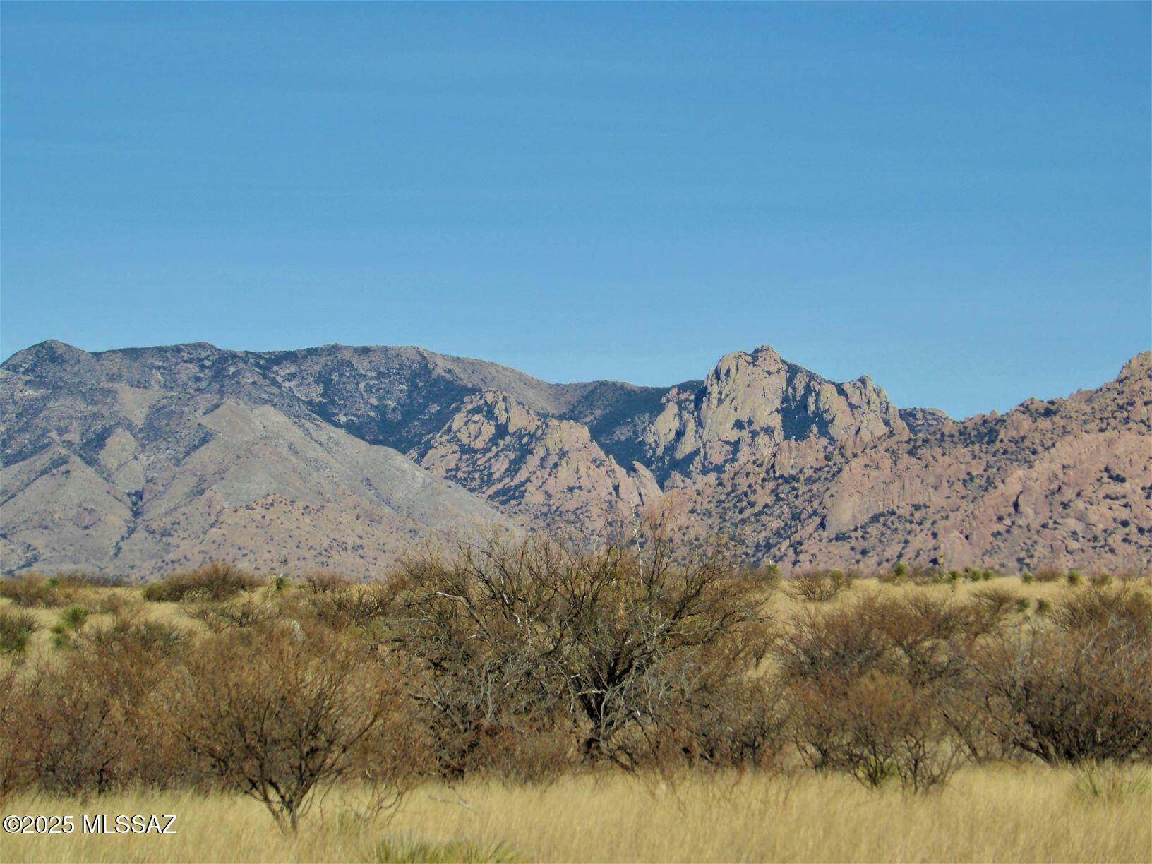 Dragoon Mountain Ranch - Land