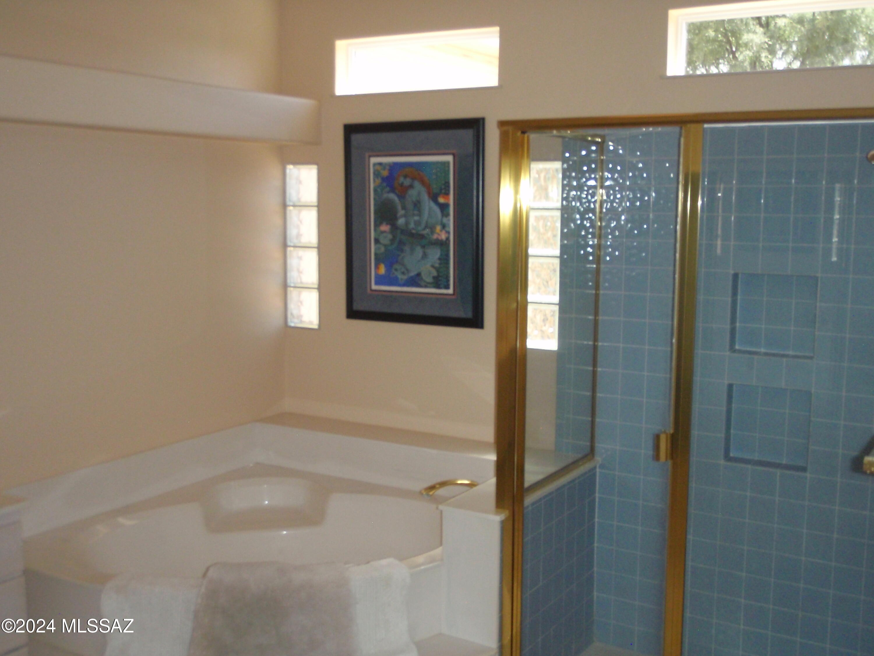Saddlebrooke - Residential Lease