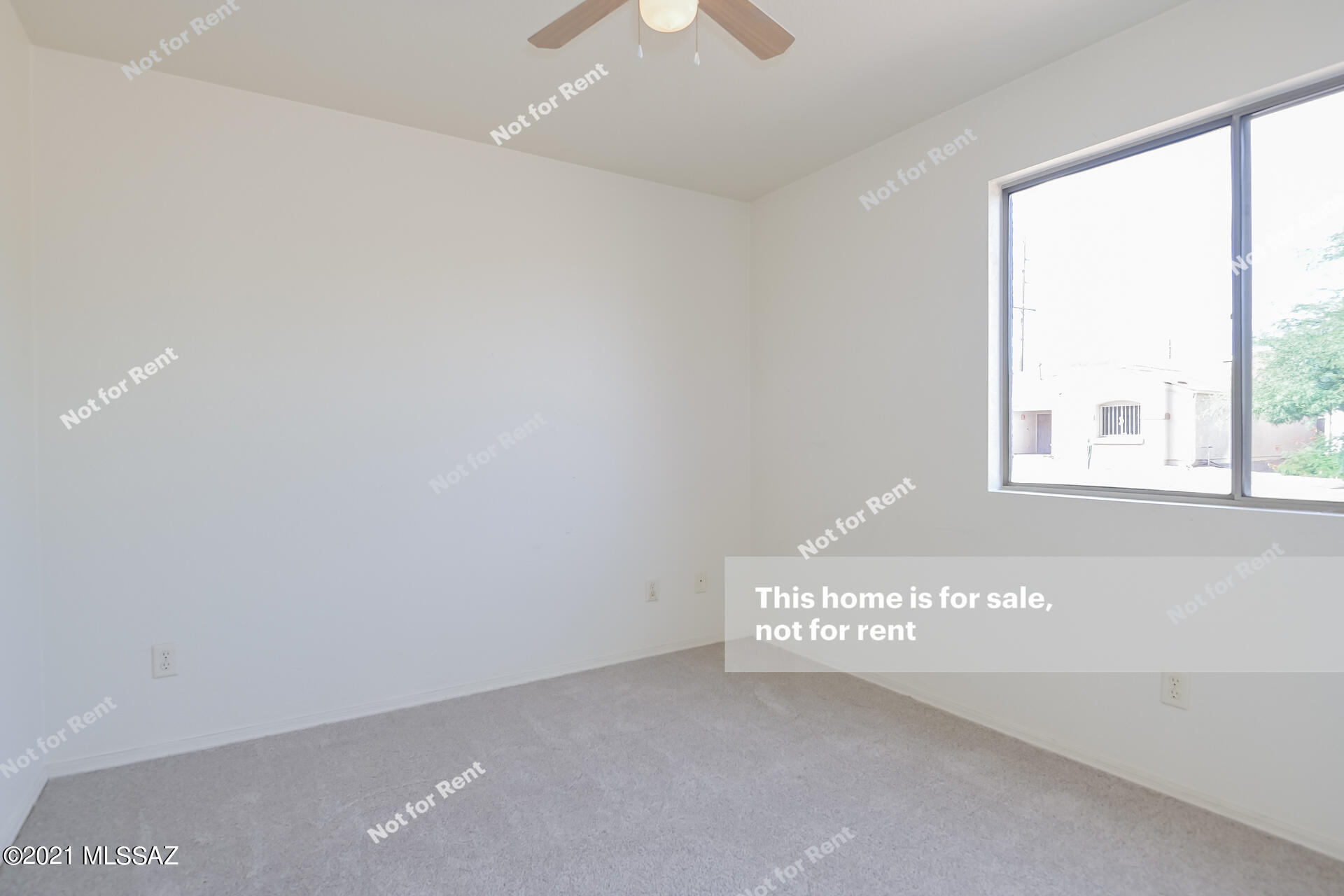 Wilmot Shadows (1-81) - Residential