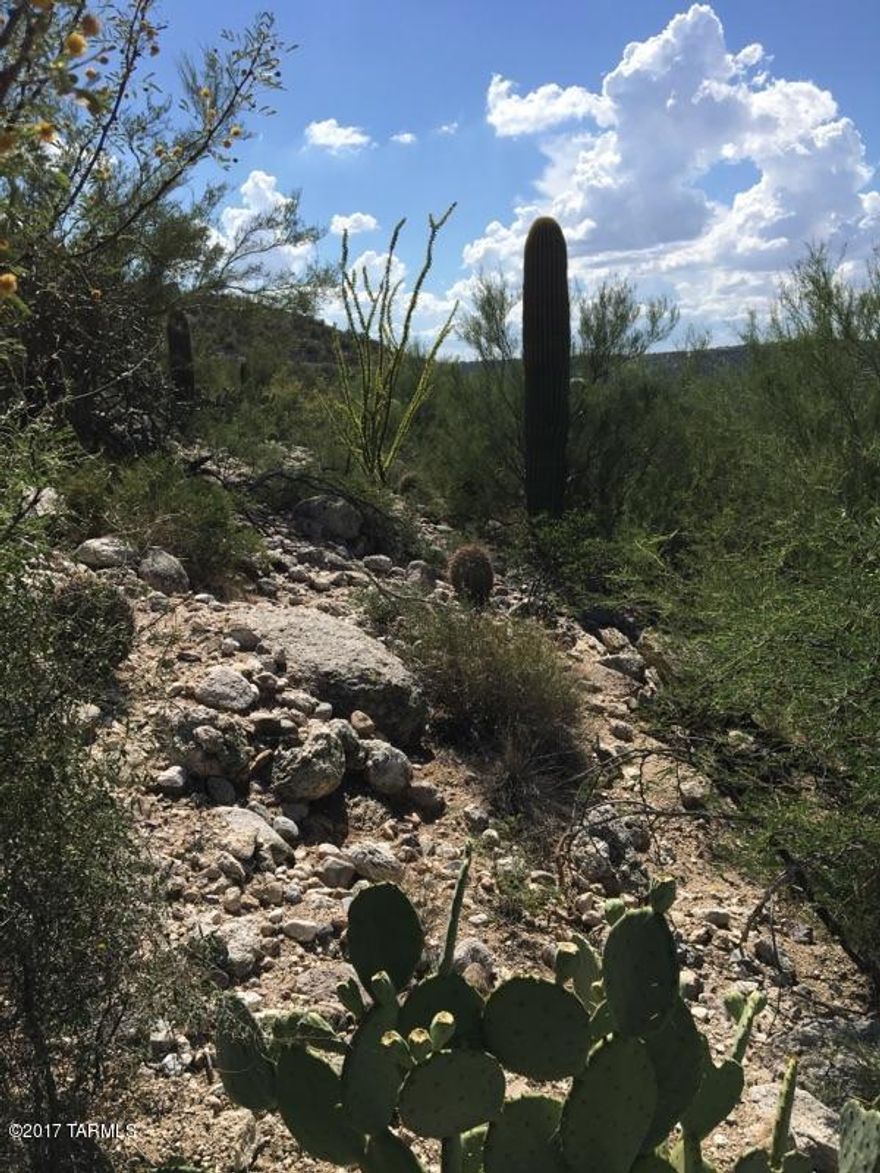 This land has the most beautiful views of the Sonoran Desert! This listing includes 2 parcels, 8150 & 8180 E. Snyder for a combined total of 2.52 Acres. Just 1 mile to Sabino Canyon and 1 mile to Canyon Ranch Resort. This land is in the heart of the most beautiful landscapes around. Build your dream home on the top of a hill. Call for more information. owner/agent Buyer to verify location of all utilities.