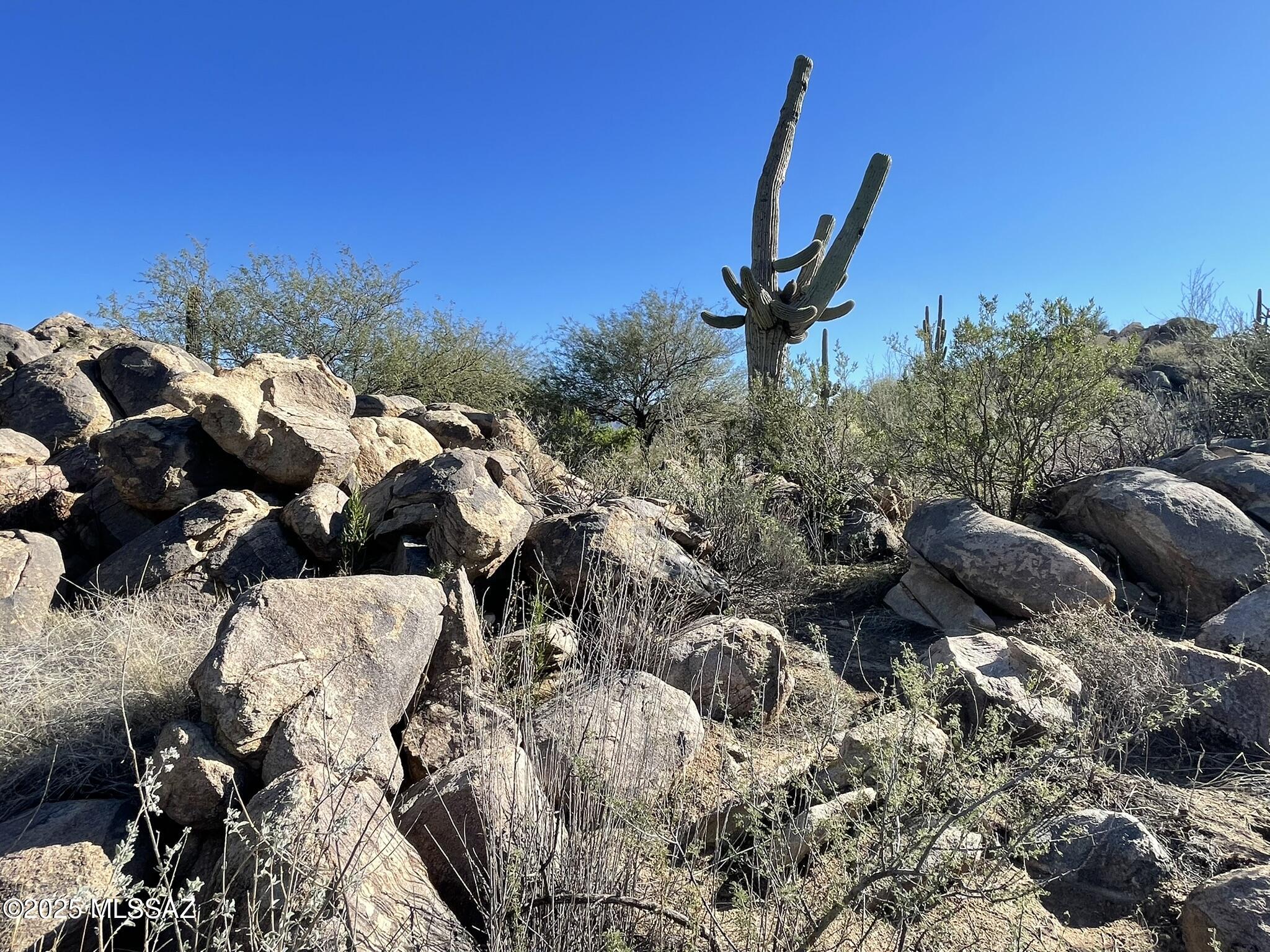 Stone Canyon IV - Land