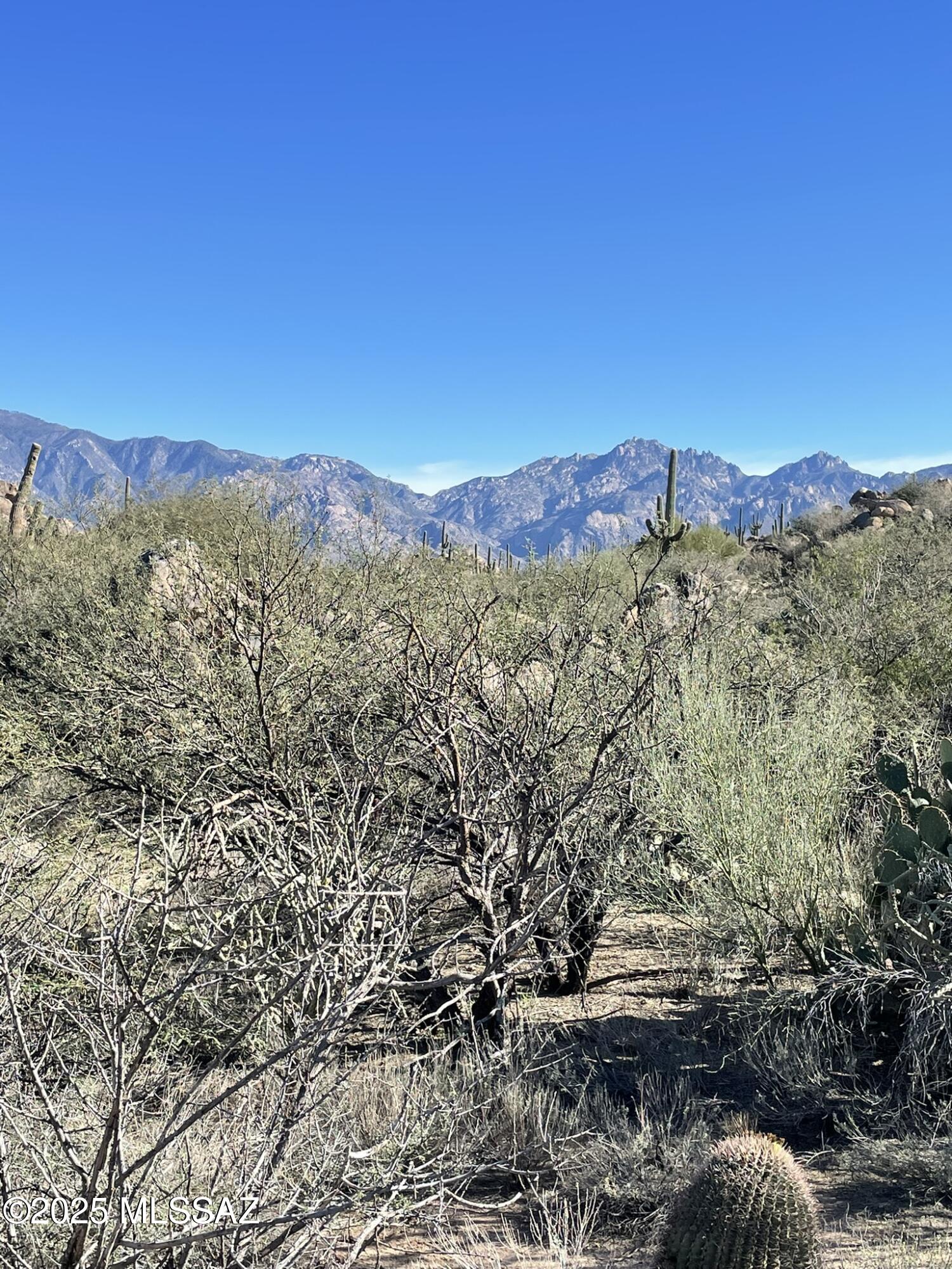 Stone Canyon IV - Land