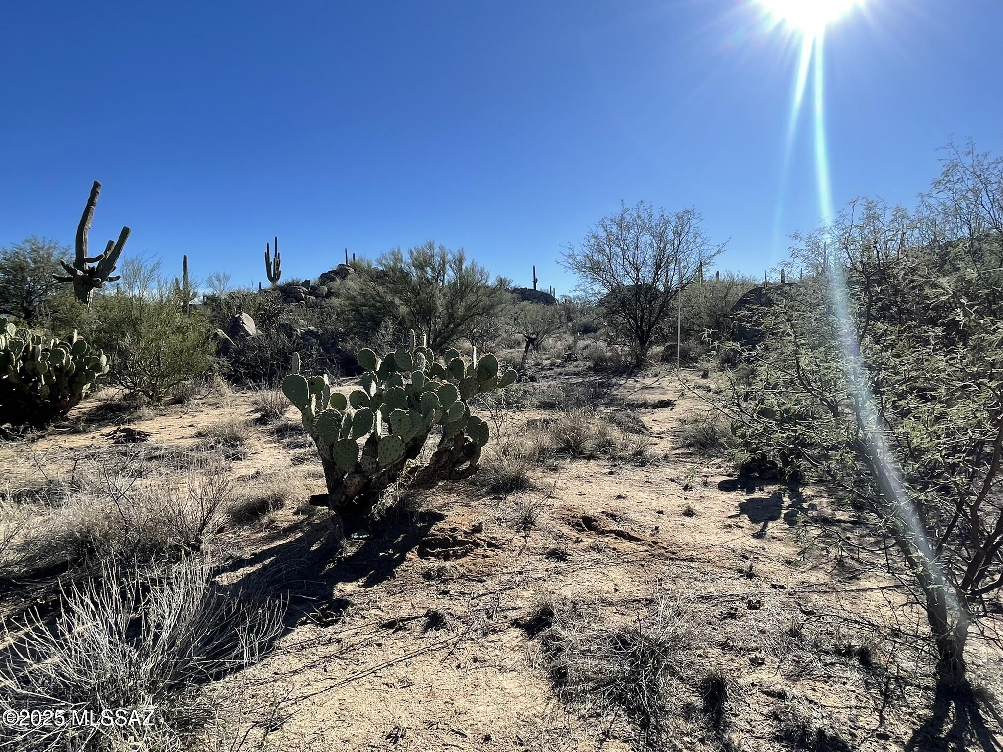 Stone Canyon IV - Land