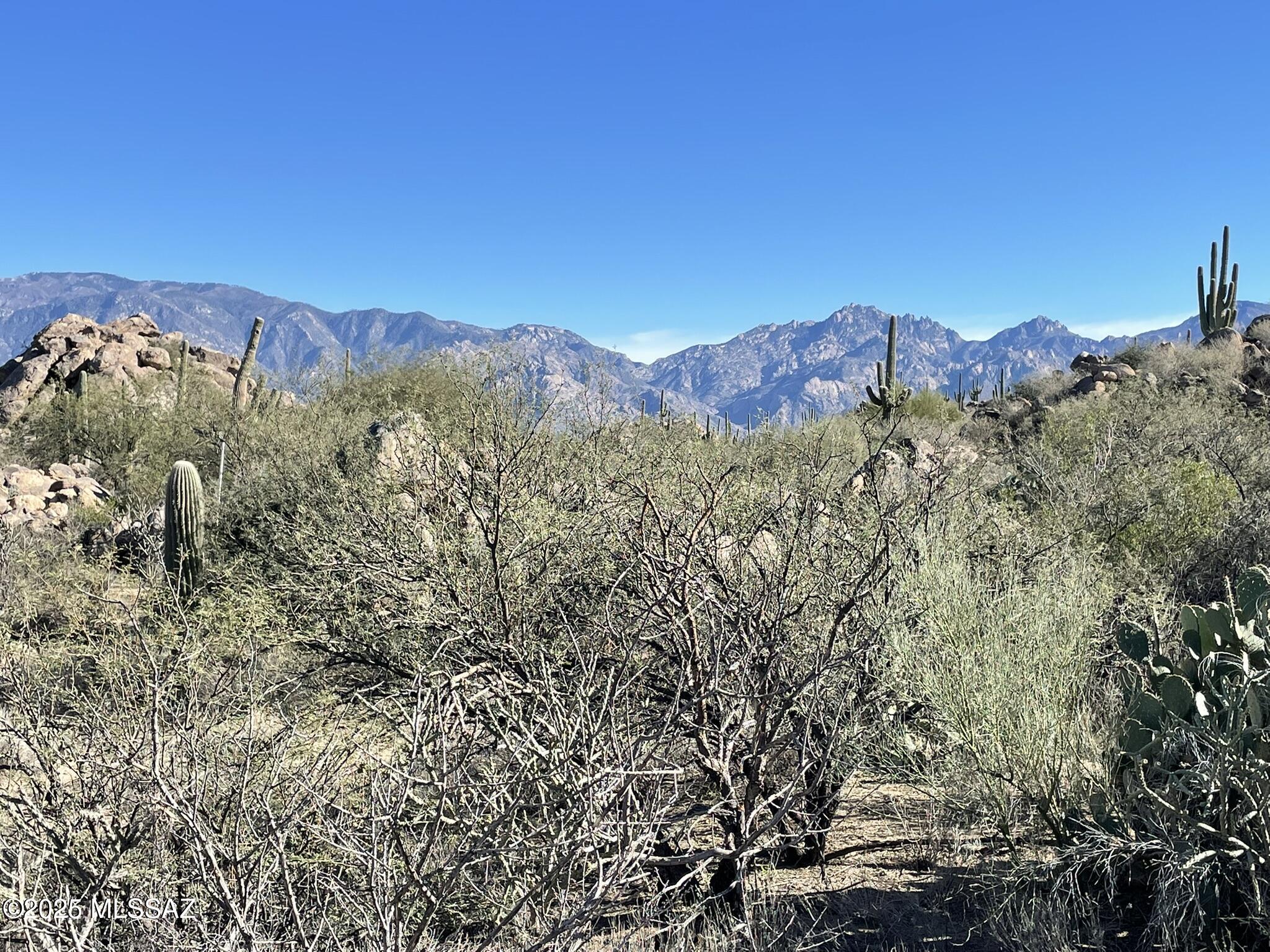 Stone Canyon IV - Land