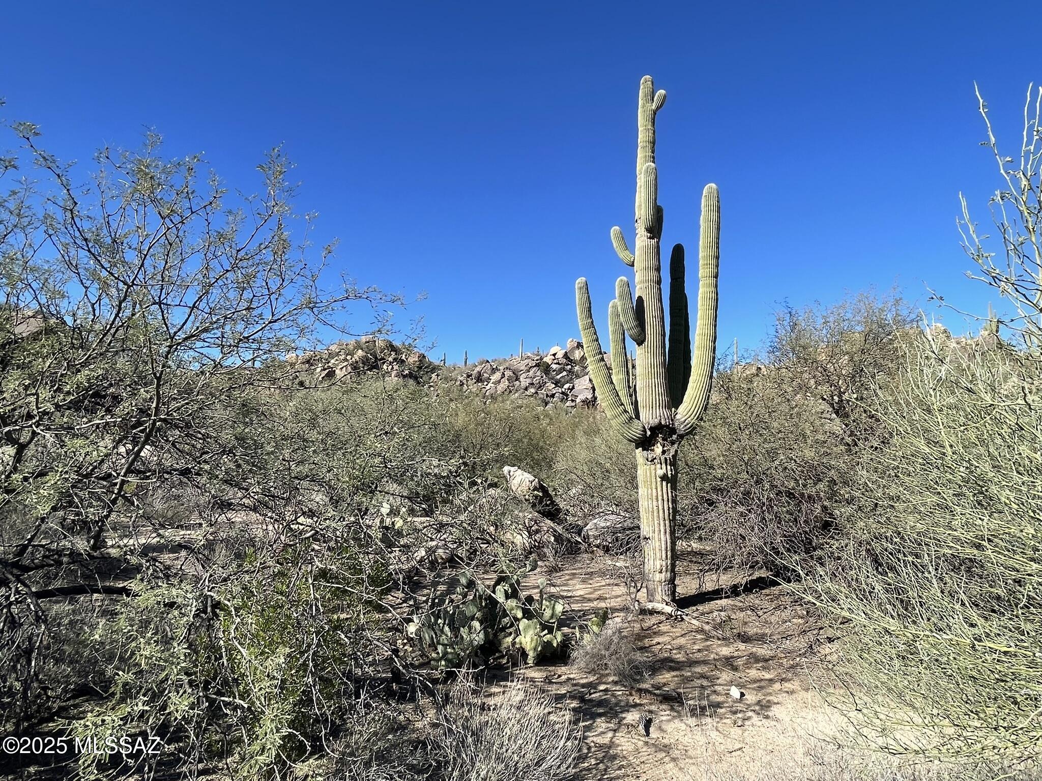 Stone Canyon IV - Land