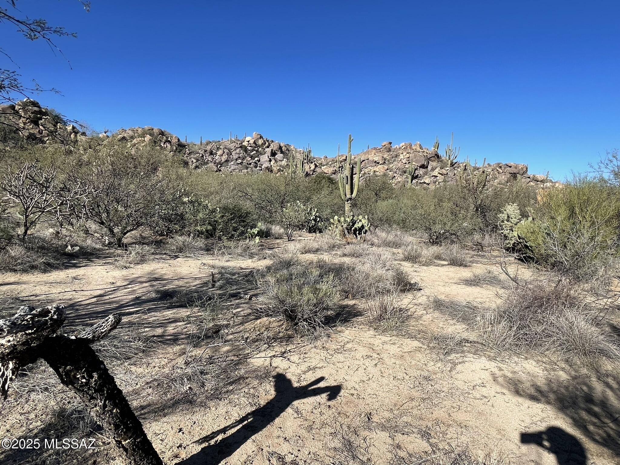 Stone Canyon IV - Land