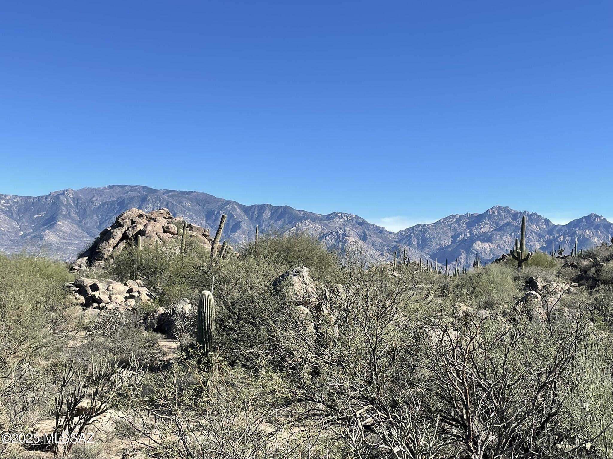 Stone Canyon IV - Land