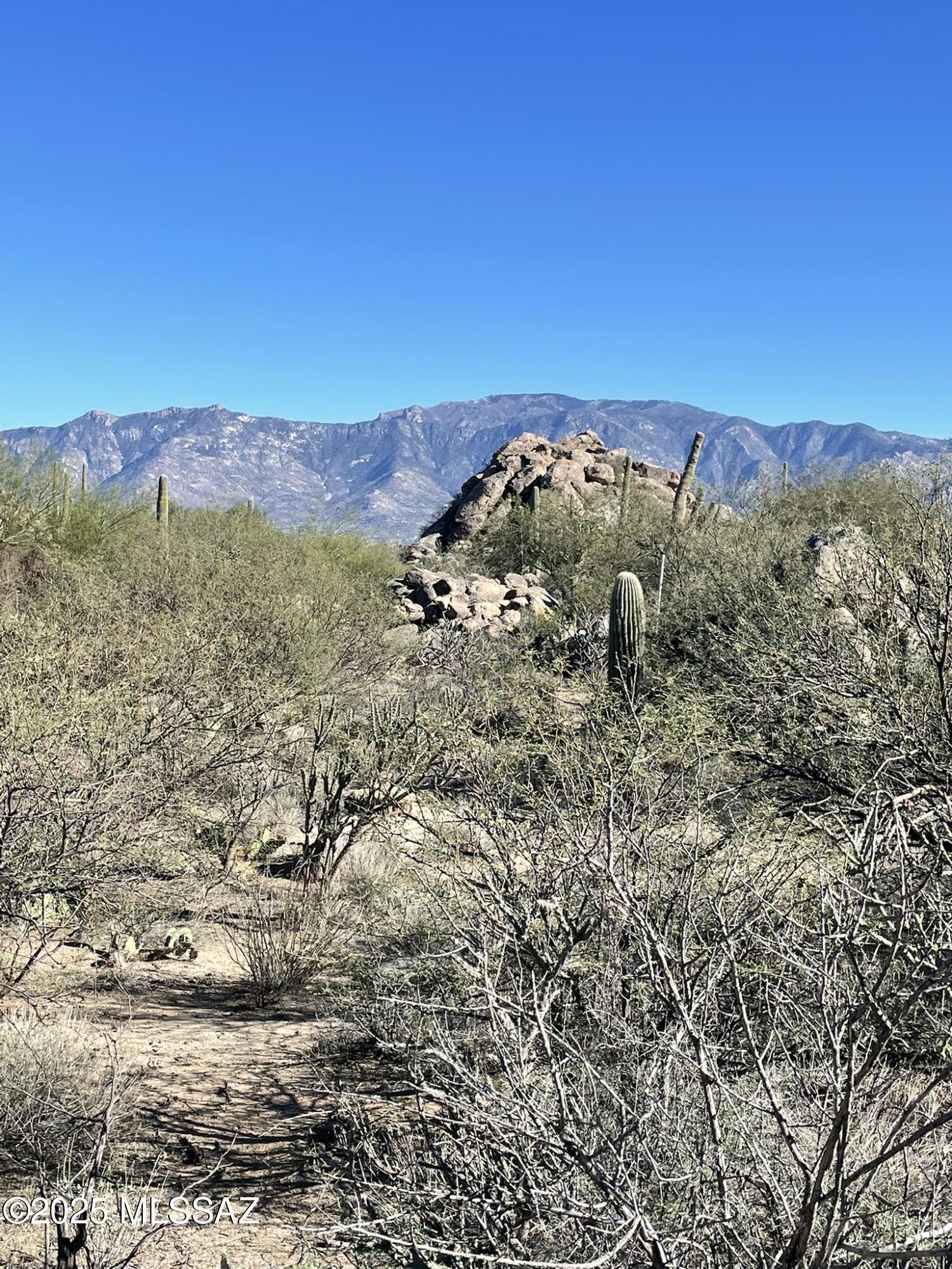 Stone Canyon IV - Land