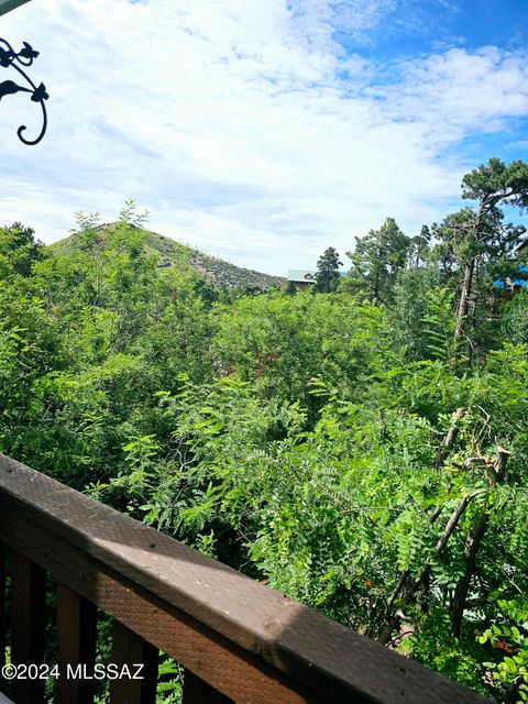 A home in Mt. Lemmon