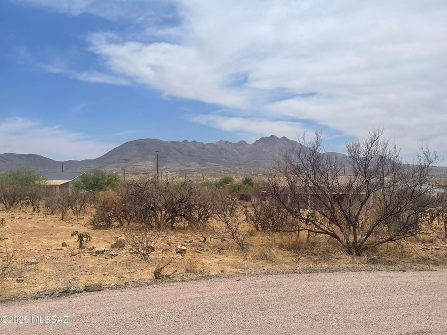 Build your home on this centrally located lot near Pendleton Drive.   This Rio Rico property has .34 acre of land.  Great views of the nearby mountains.   North/south exposure and on a paved road.   Easy access to the freeway.   Close to shopping areas, restaurants, and schools.