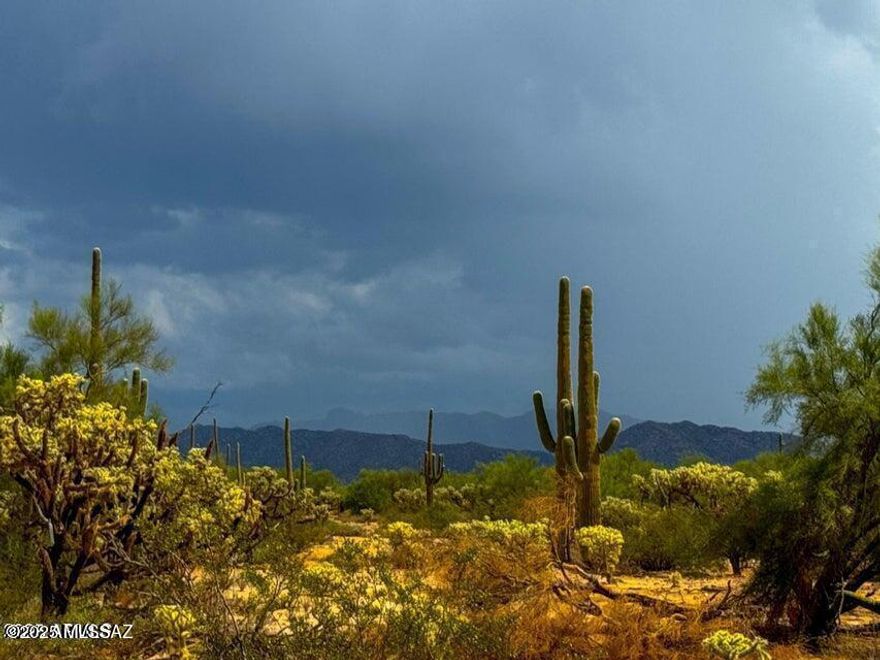 Rare opportunity to own a piece of Arizona's most beautiful parts of the desert! Surrounded by tall saguaros and stunning views of the Tortolita mountains and Picacho Peak. With absolute peace and privacy making this the perfect place for your new site build home or Ranch. No manufactured. Well share on site and electric available. No HOA . Perfect for horses! Parcel is 10 acres in size. Additional acreage available. SELLER FINANCING AVAILABLE