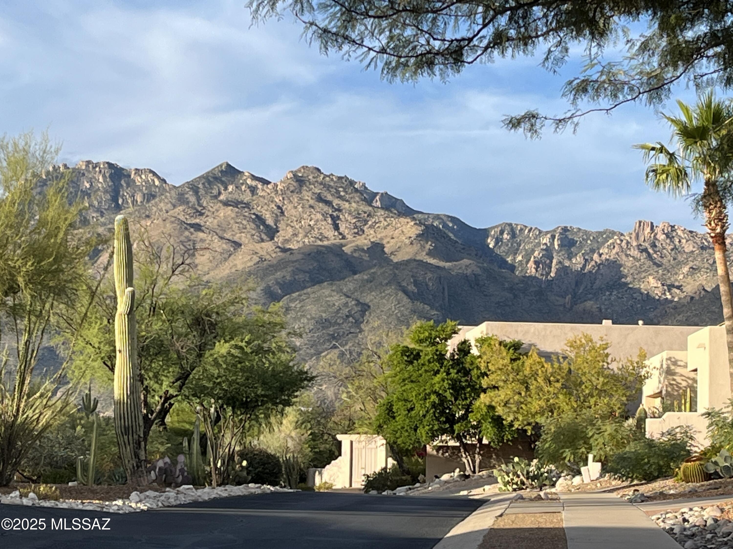 Bonita Ridge - Residential