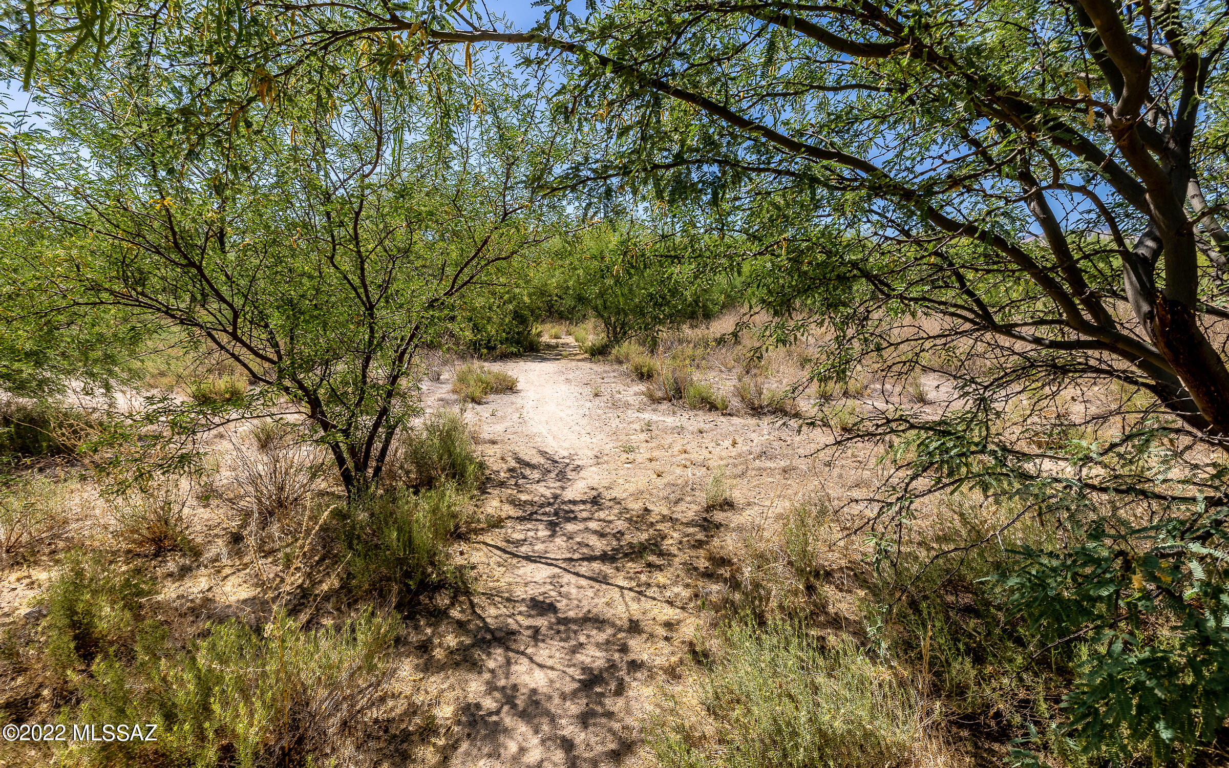 Mesquite Creek II  (1-118) - Residential