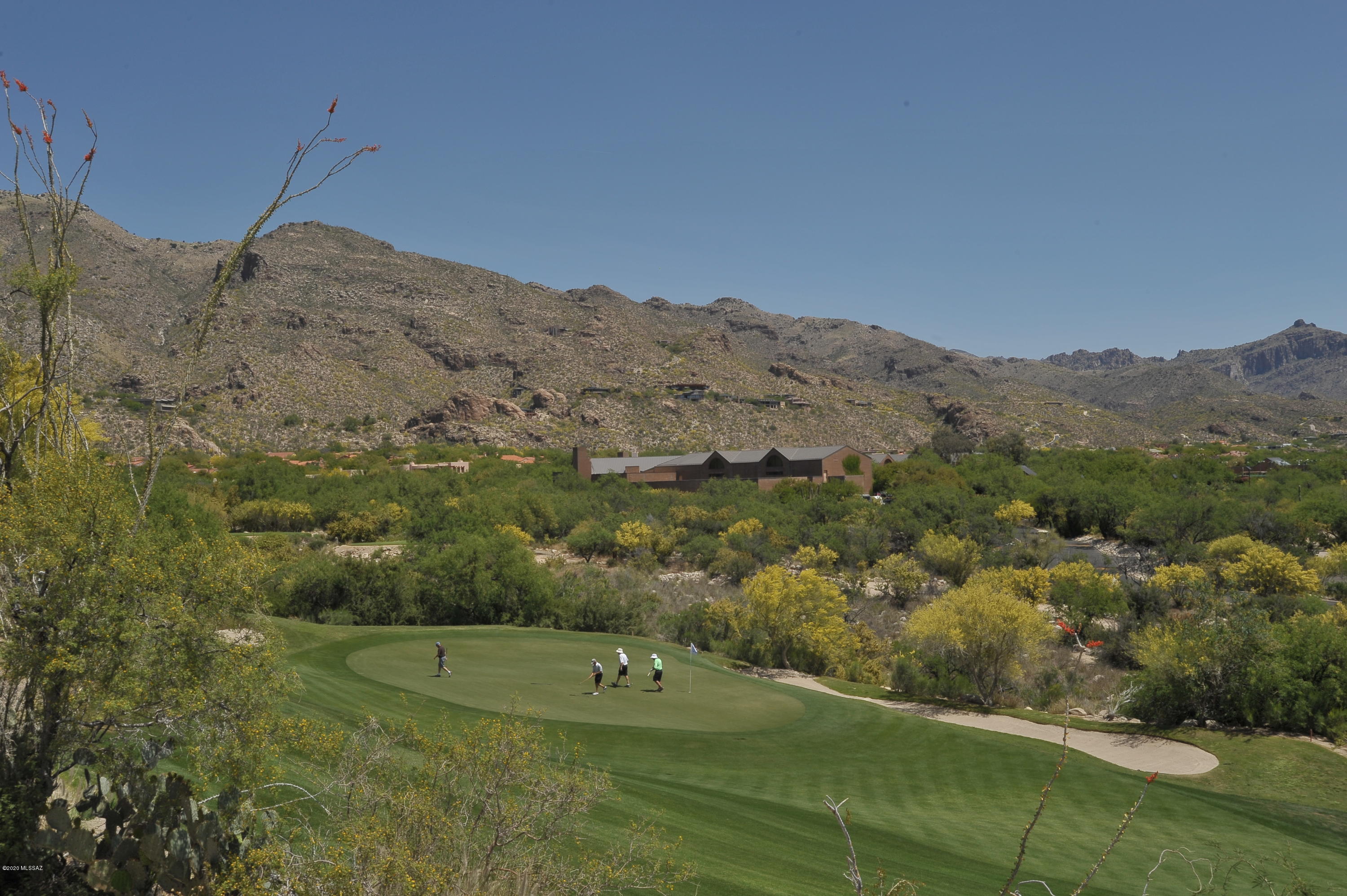 Whaleback Ridge Estates at Ventana Canyon (1-30) - Residential