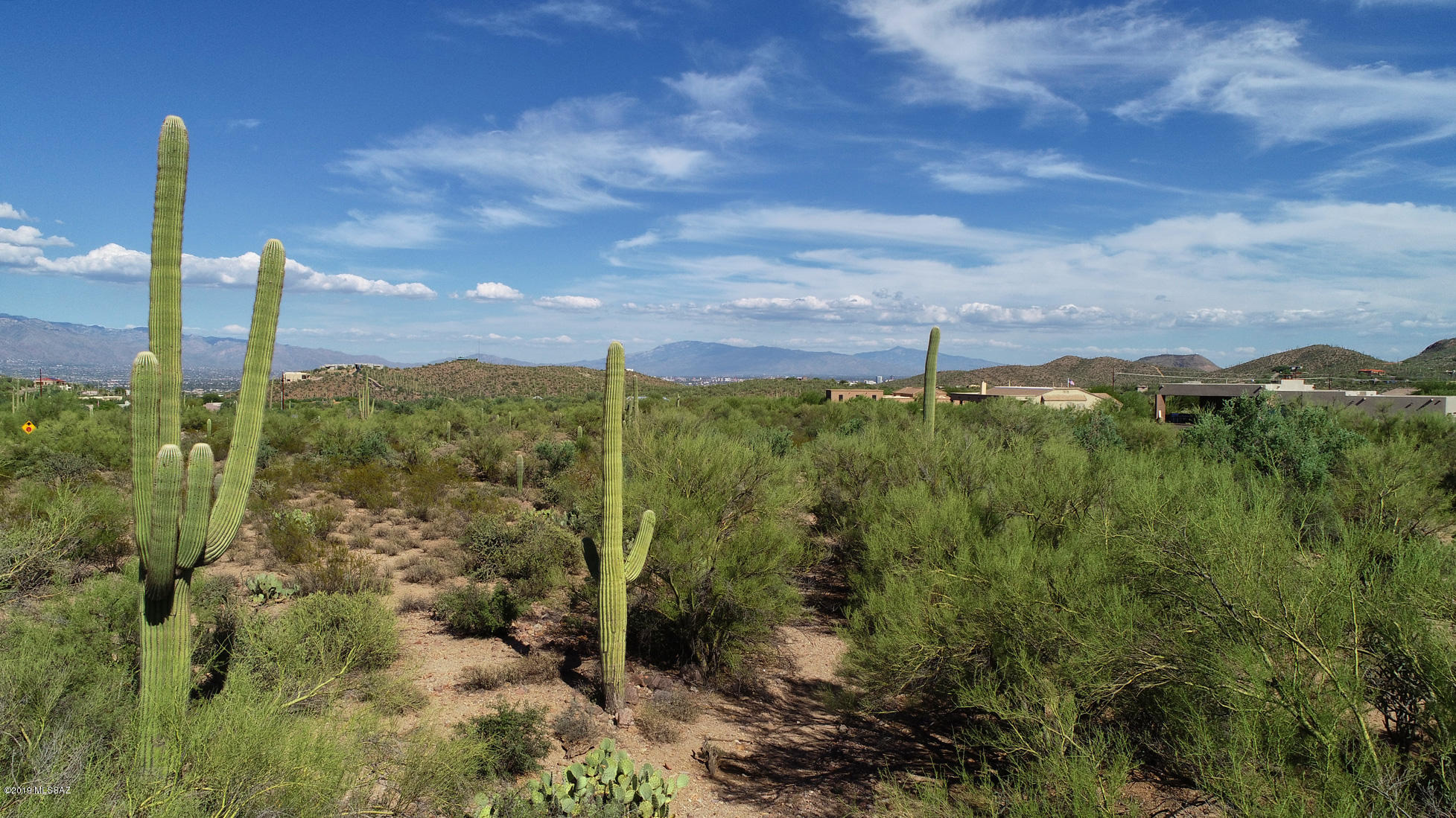 Saguaro Cliffs (1-61) - Land