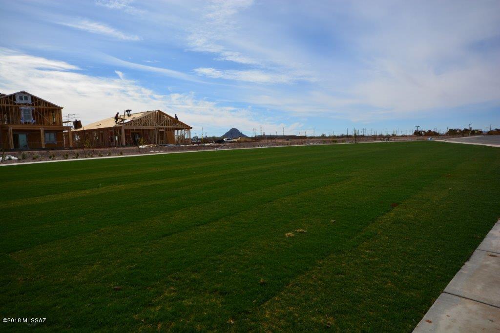 Saguaro Bloom Block 2 - Residential