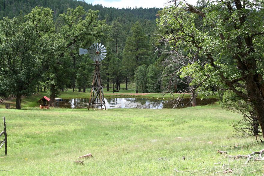 Little Springs Ranch is a historic 59.3 acre original homestead situated amid lush stands of old growth Ponderosa Pine, Gamble Oak, three kinds of Juniper, Aspen & Fir at 7,000 clear cool feet. It is surrounded on all four sides & located in the heart of the 1,850,000 acre Coconino National Forest. A 1,399 square foot main residence with a 760 square foot garage/workshop & a separate guest bunkhouse provide very comfortable accommodations for friends & family. Ownership includes Little Springs itself which provides the pure spring water for the residences & the fishing pond. The ranch is a two hour drive from Phoenix & only 1.3 miles from Hwy 87. It has underground electric throughout & a well that supplements the pond. The ranch & surrounds have some of the best hunting in AZ. SEE SUPPLMT The unlimited horseback riding out through the gates on the ranch is fantastic. The year round pond is a wildlife magnet which attract elk, bear, turkey, whitetail, mule deer and much more. The diversity of the terrain and vegetation is unrivaled anywhere on private property in the state. This is a destination legacy ranch with the feel of thousands of acres of ownership that is very private, with easy access and is rarely available in Arizona. Don't miss out on this one.