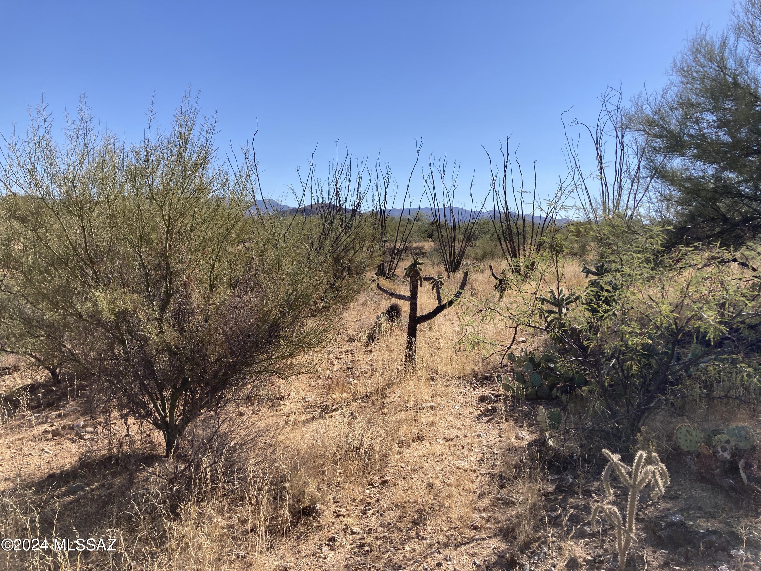 View Tucson, AZ 85736 land