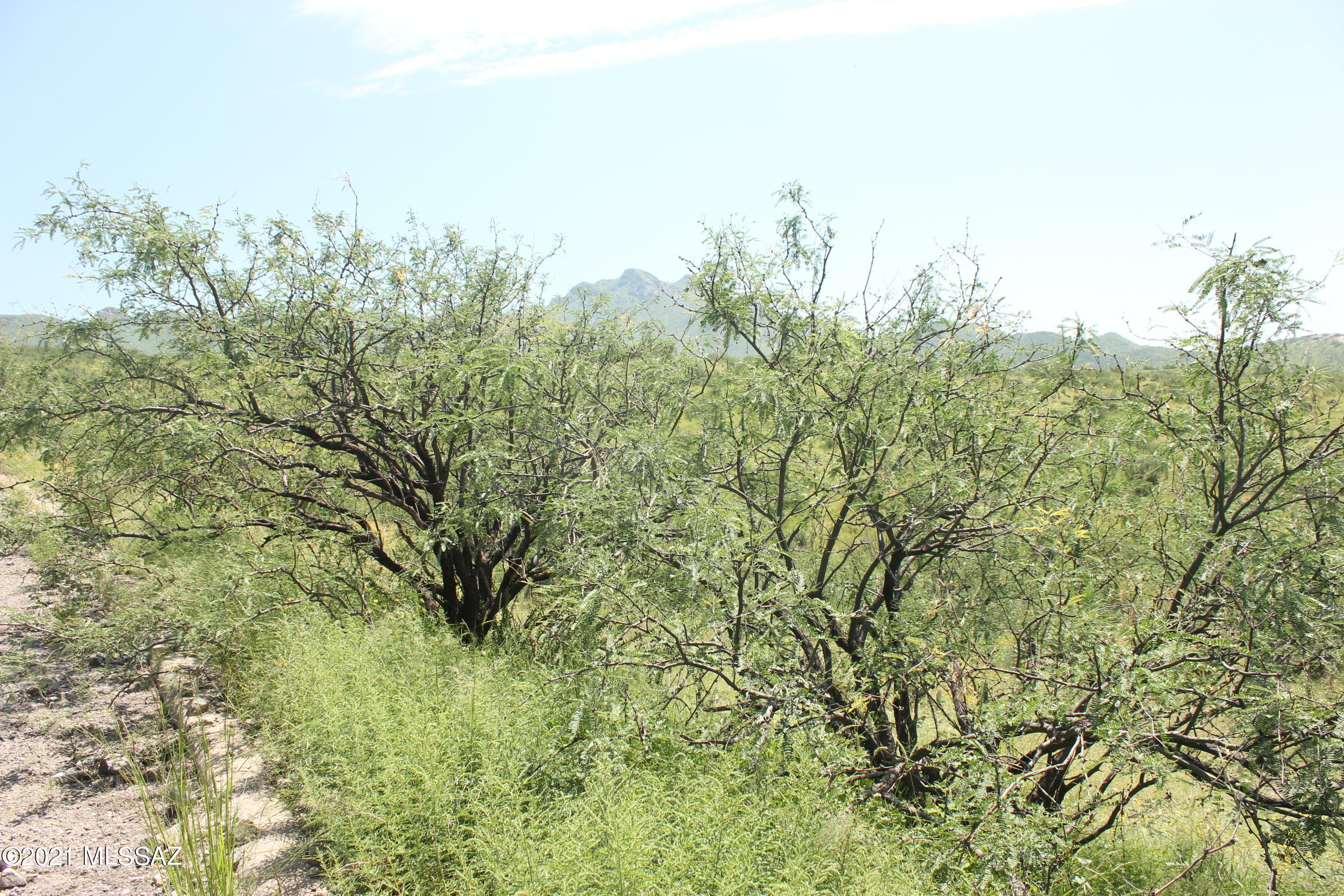 Rio Rico Ranchettes 18 - Land