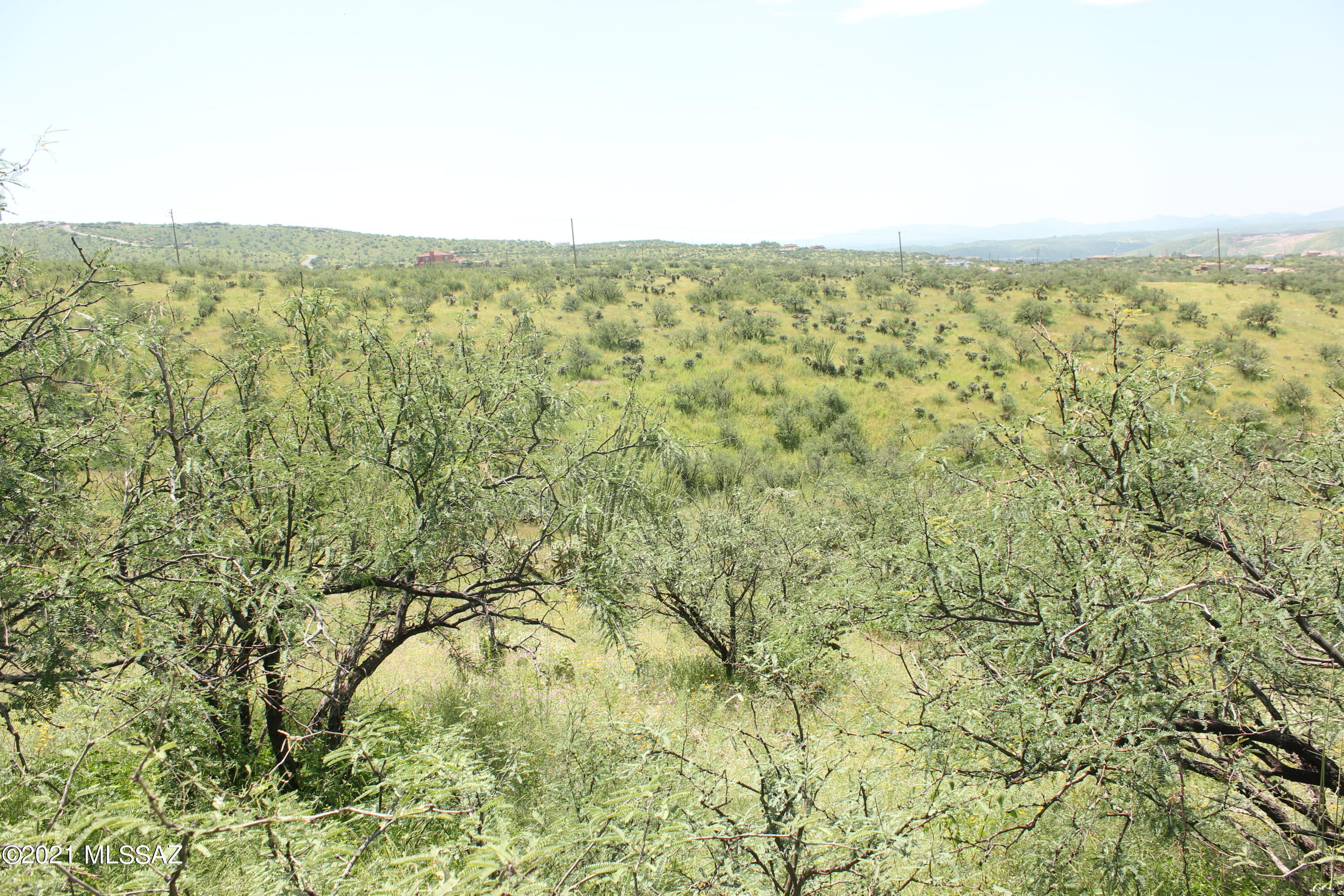 Rio Rico Ranchettes 18 - Land