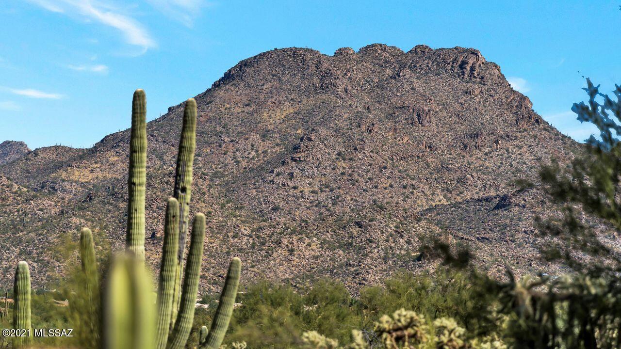 Preserve at Dove Mountain (1-182) - Residential