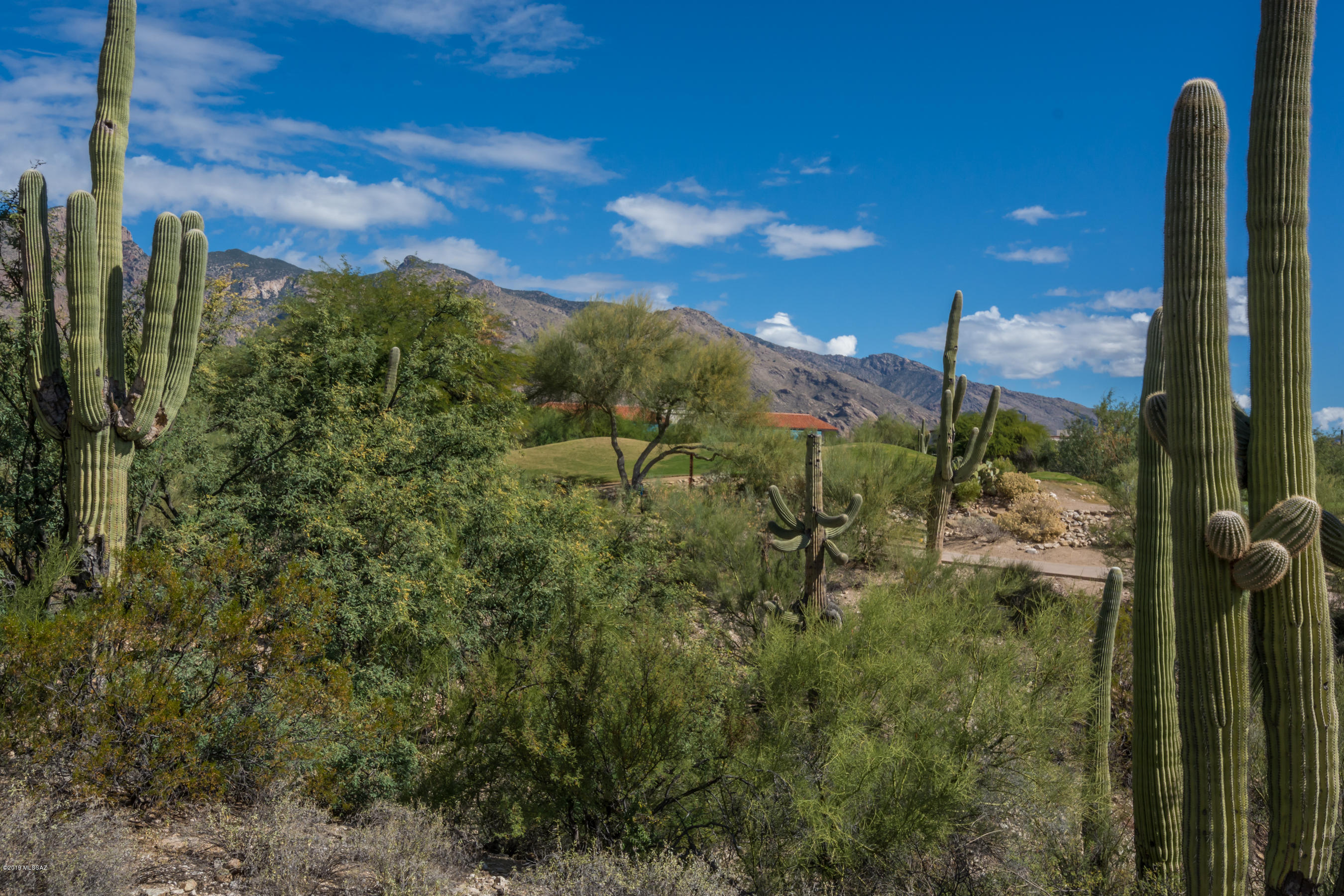 Villages Two & Four At Villages Of La Paloma - Residential