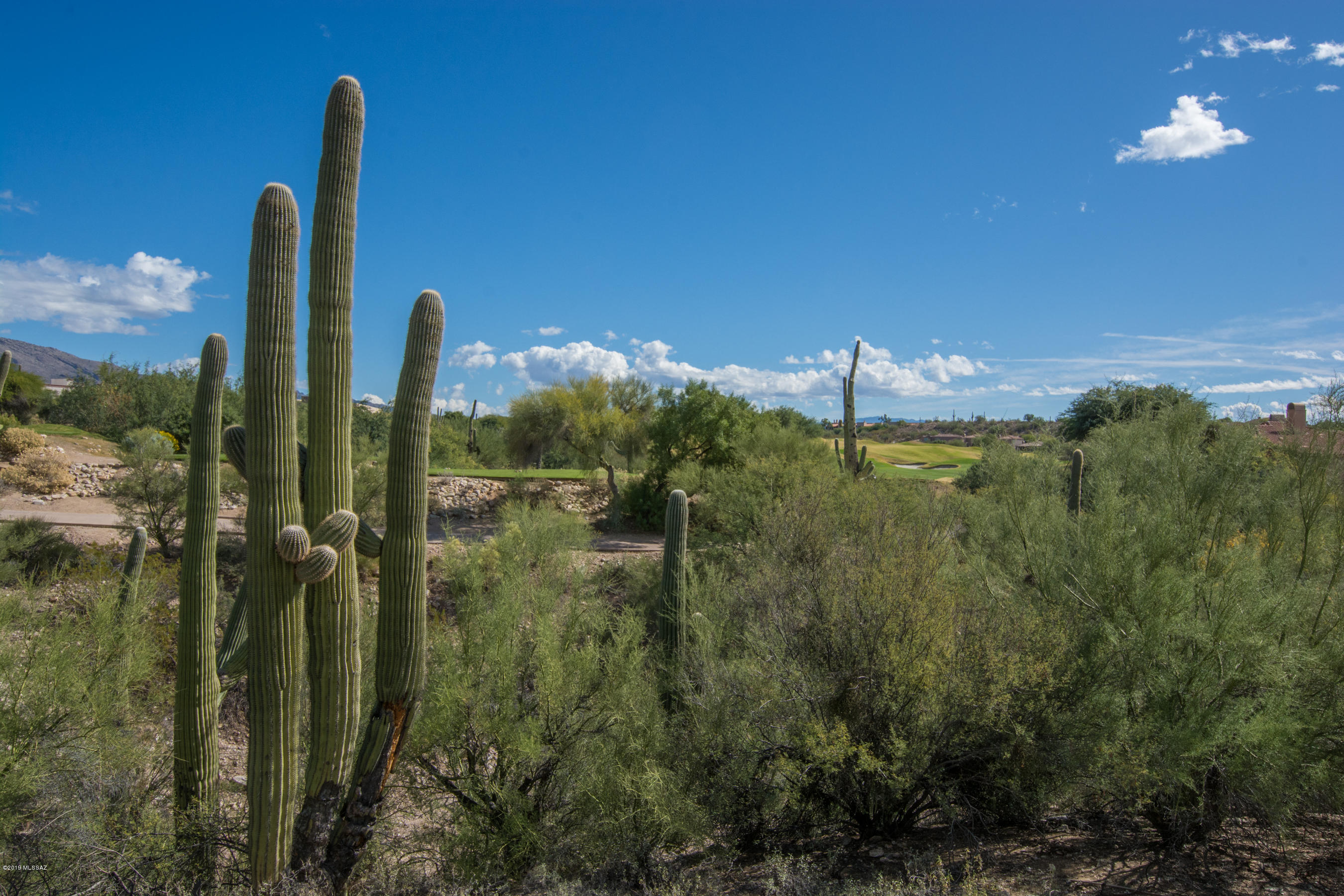 Villages Two & Four At Villages Of La Paloma - Residential