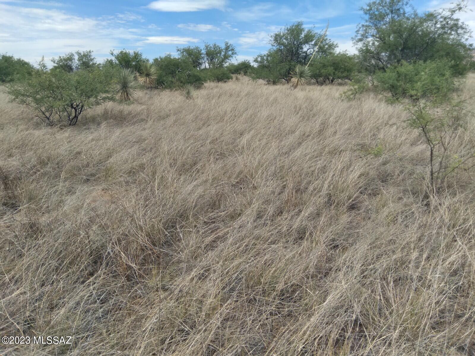 Dragoon Mountain Ranch - Land