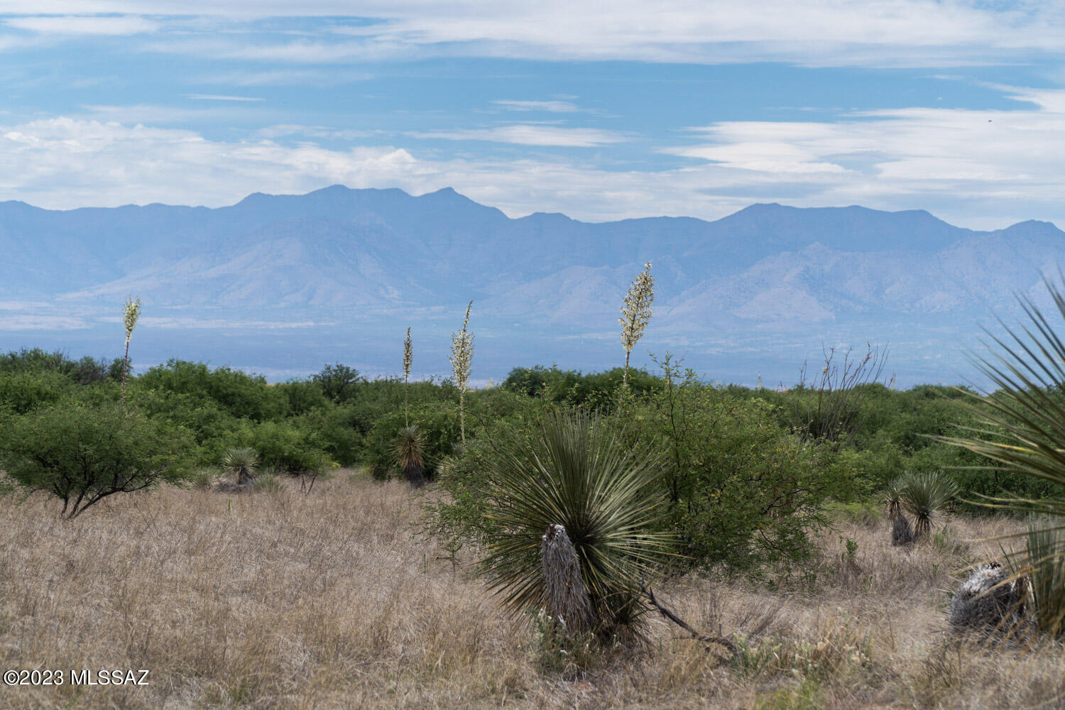 Dragoon Mountain Ranch - Land