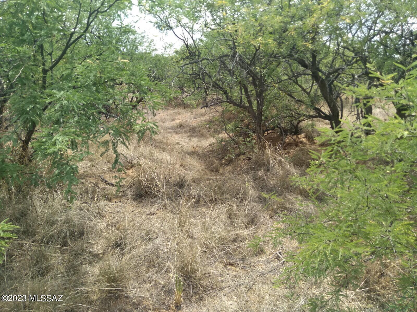 Dragoon Mountain Ranch - Land