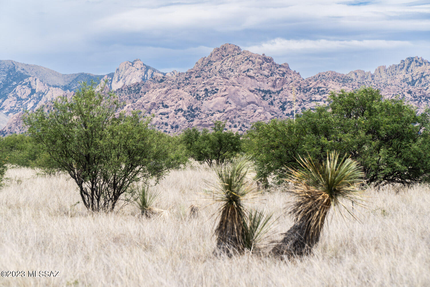 Dragoon Mountain Ranch - Land