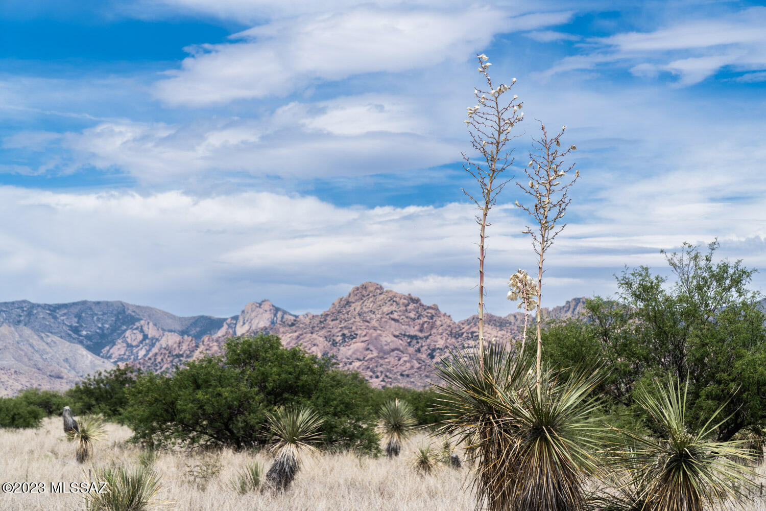 Dragoon Mountain Ranch - Land