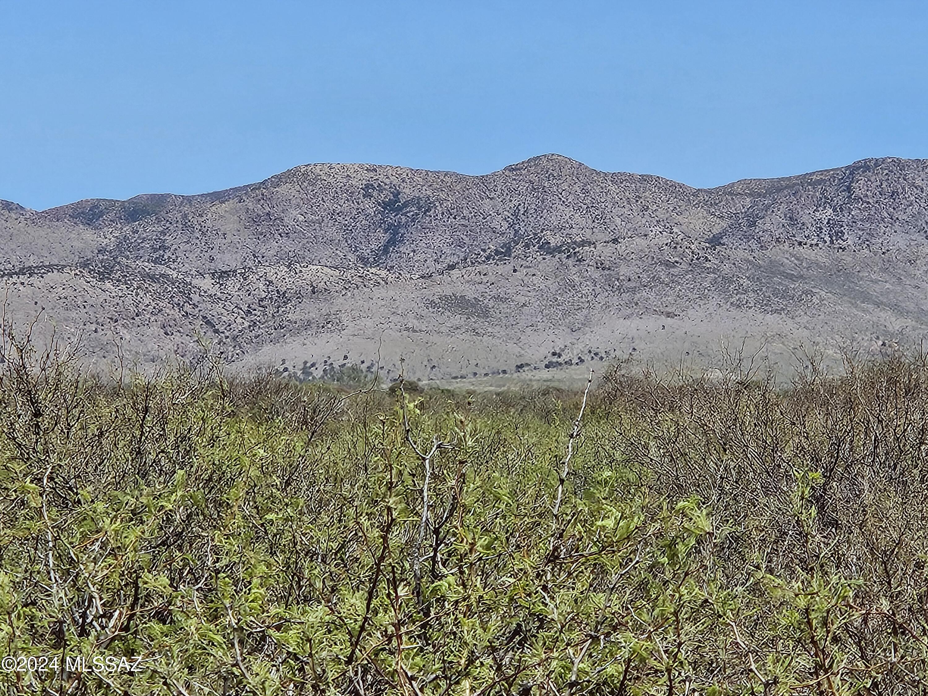Turkey Creek Ranch - Land