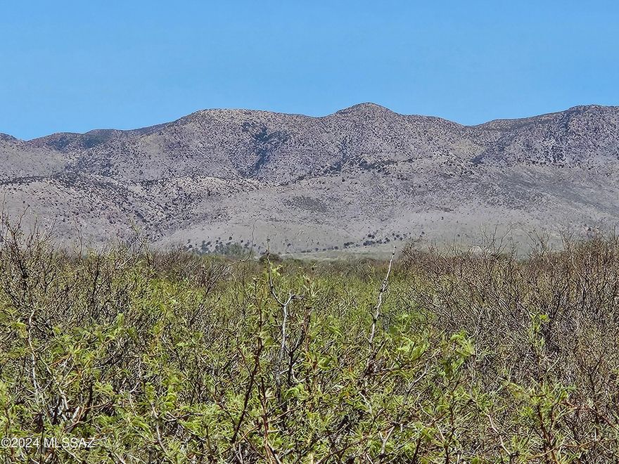 Escape to your own slice of paradise with this 40-acre gem in Sunizona, offering breathtaking views of the Chiricahua mountains. Conveniently situated just minutes from paved highway 181, yet tucked away enough to enjoy serene country living. Power lines can be found at the property line, enhancing development potential. Fully fenced and with the option to continue a grazing lease, enjoy remarkably low property taxes. Seasonal pond on the property during monsoons. Ideal for equestrian enthusiasts, retirees seeking tranquility, or those craving a rural retreat. Embrace  cooler Arizona summers and delightful year-round climate at 4,500' elevation. While the last 1/4 mile to the property may need clearing for full accessibility, envision the possibilities & create your dream homestead.